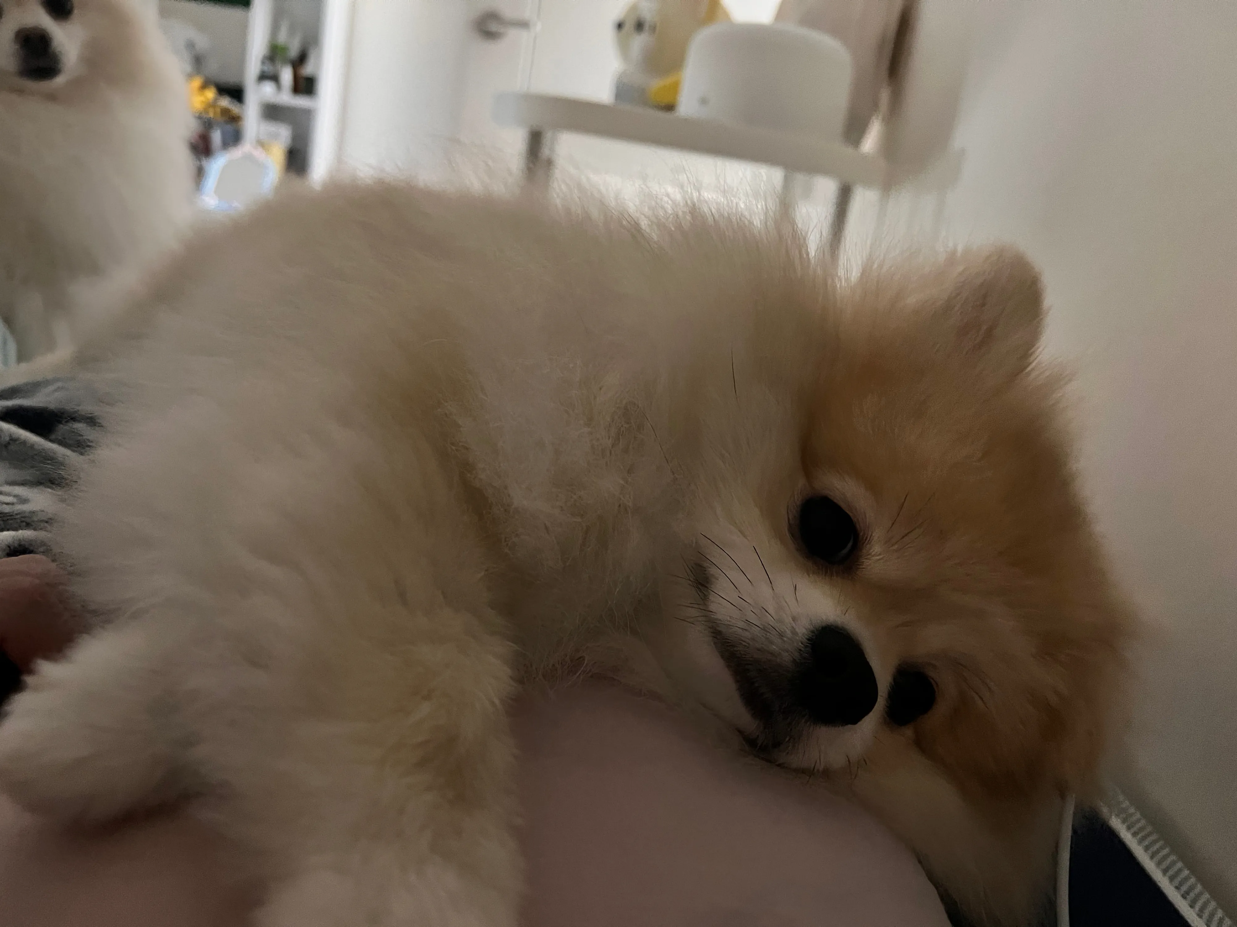 1번째 파일