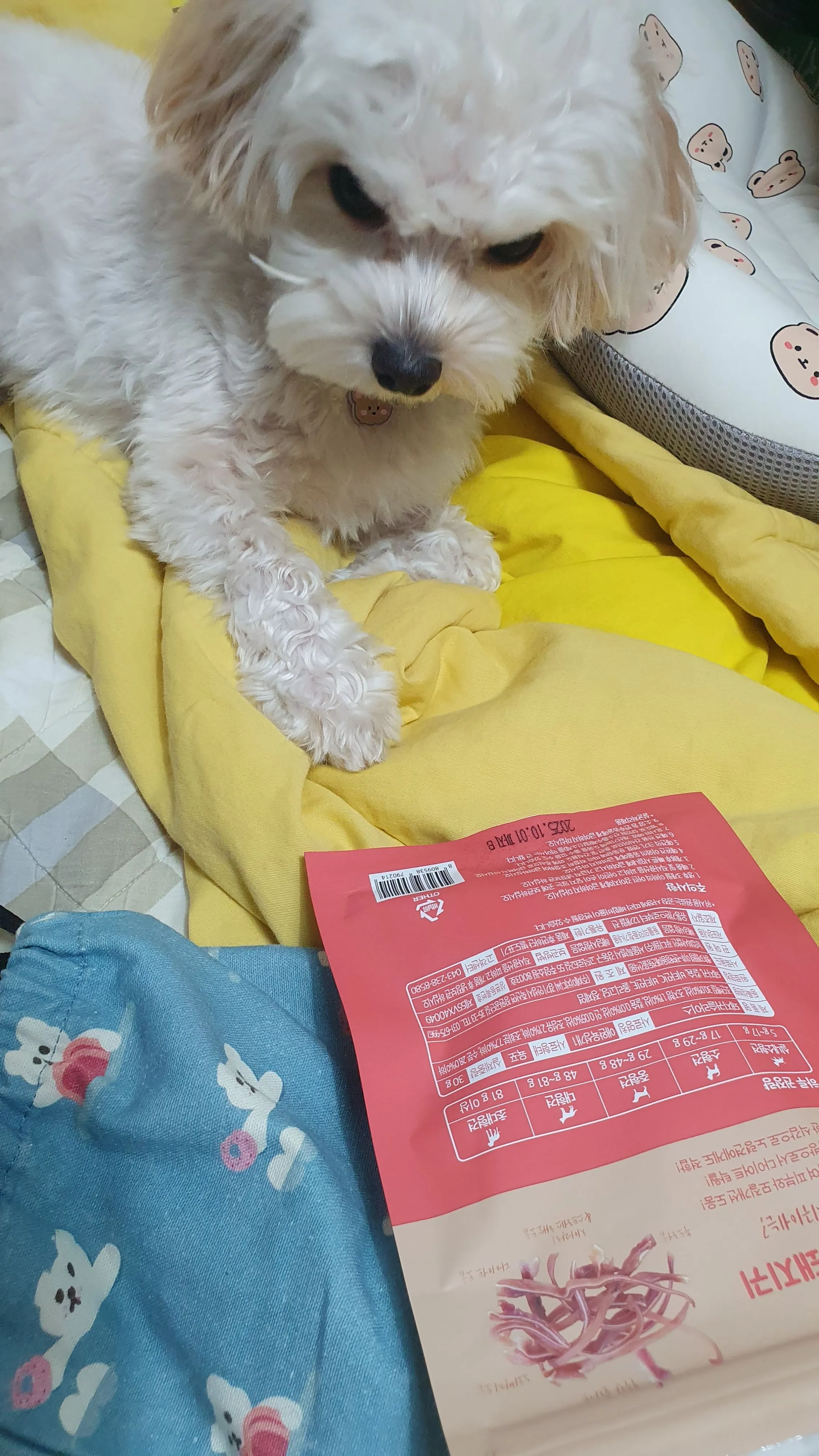 2번째 파일