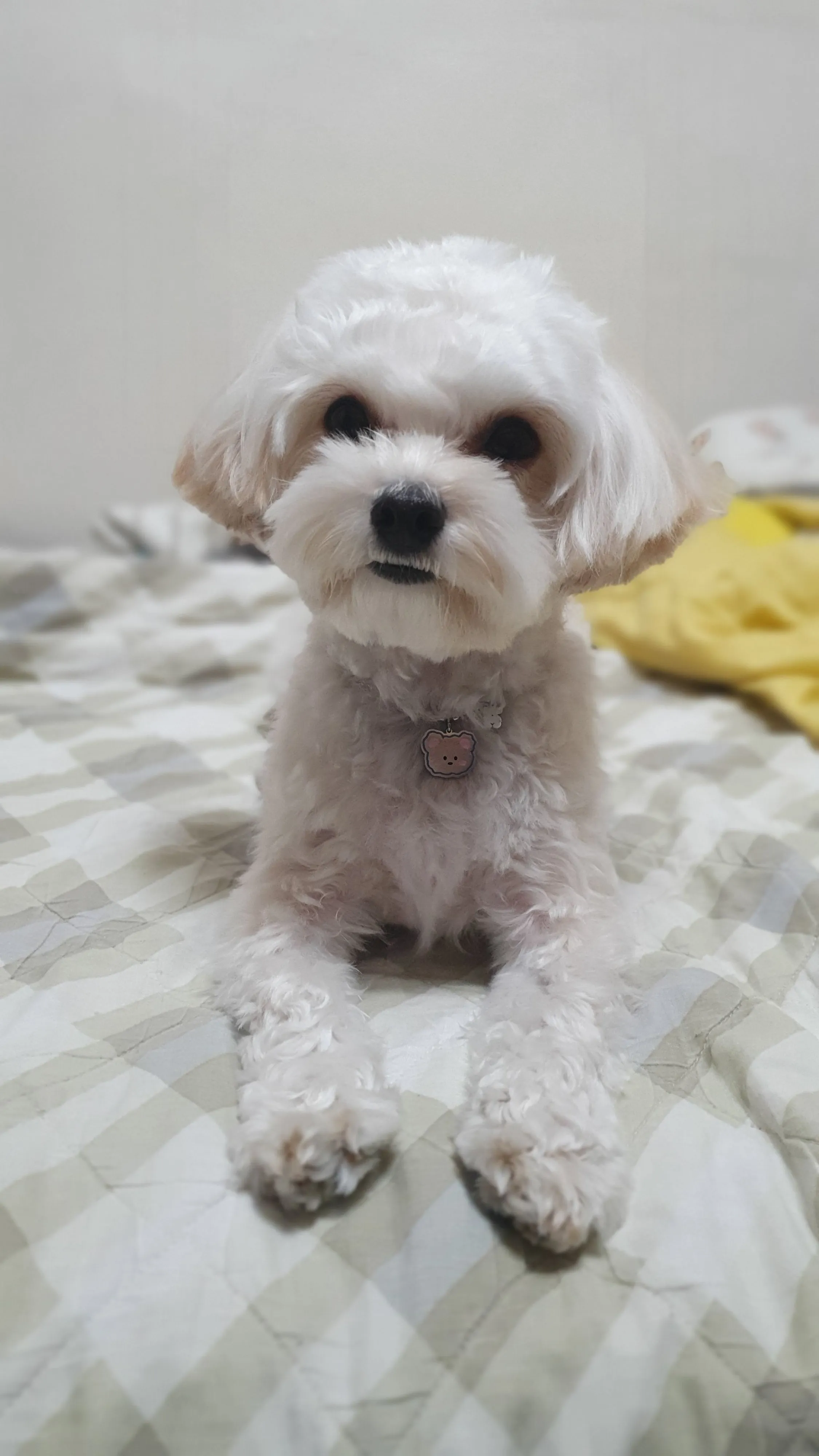 3번째 파일
