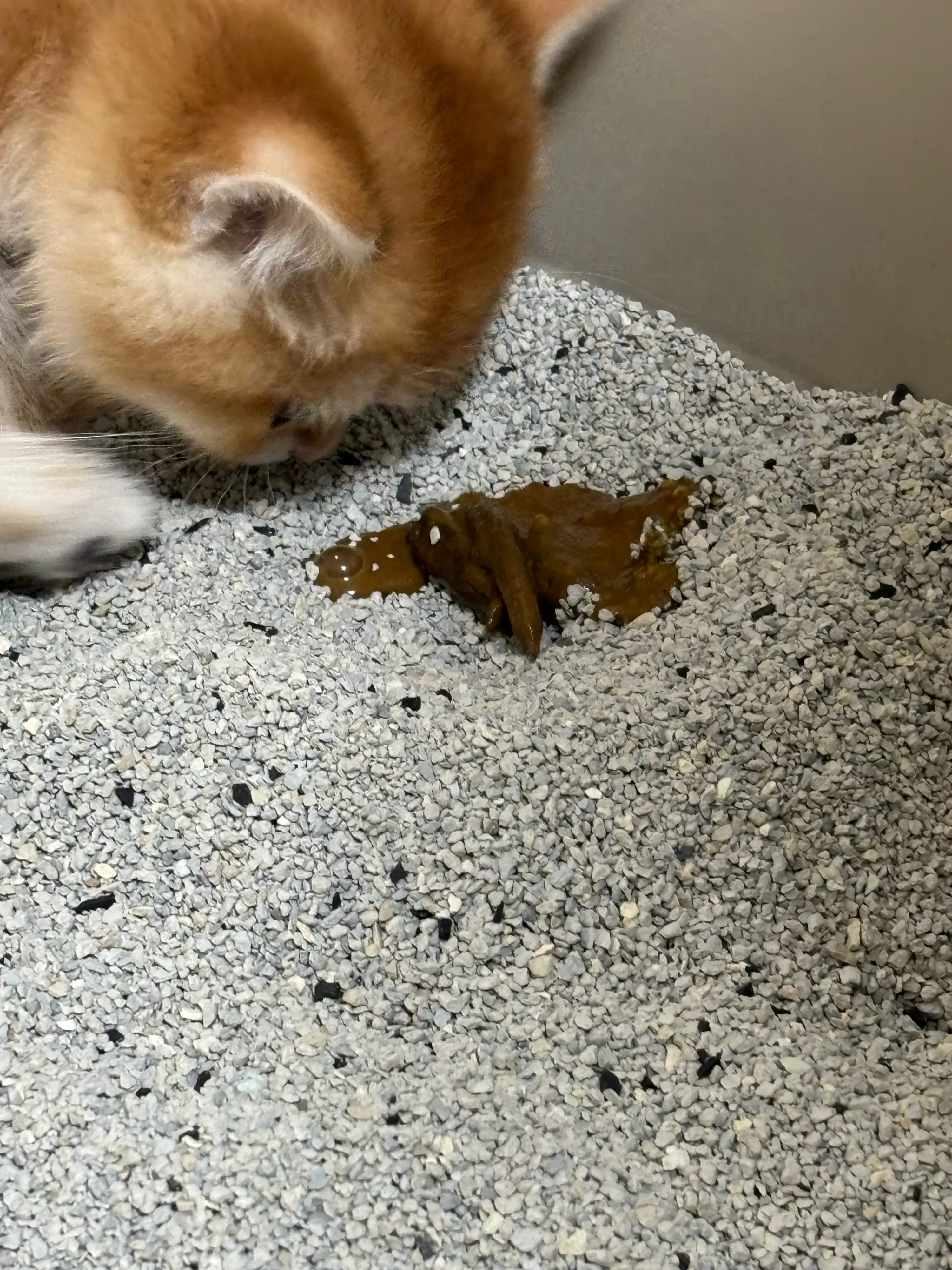 1번째 파일