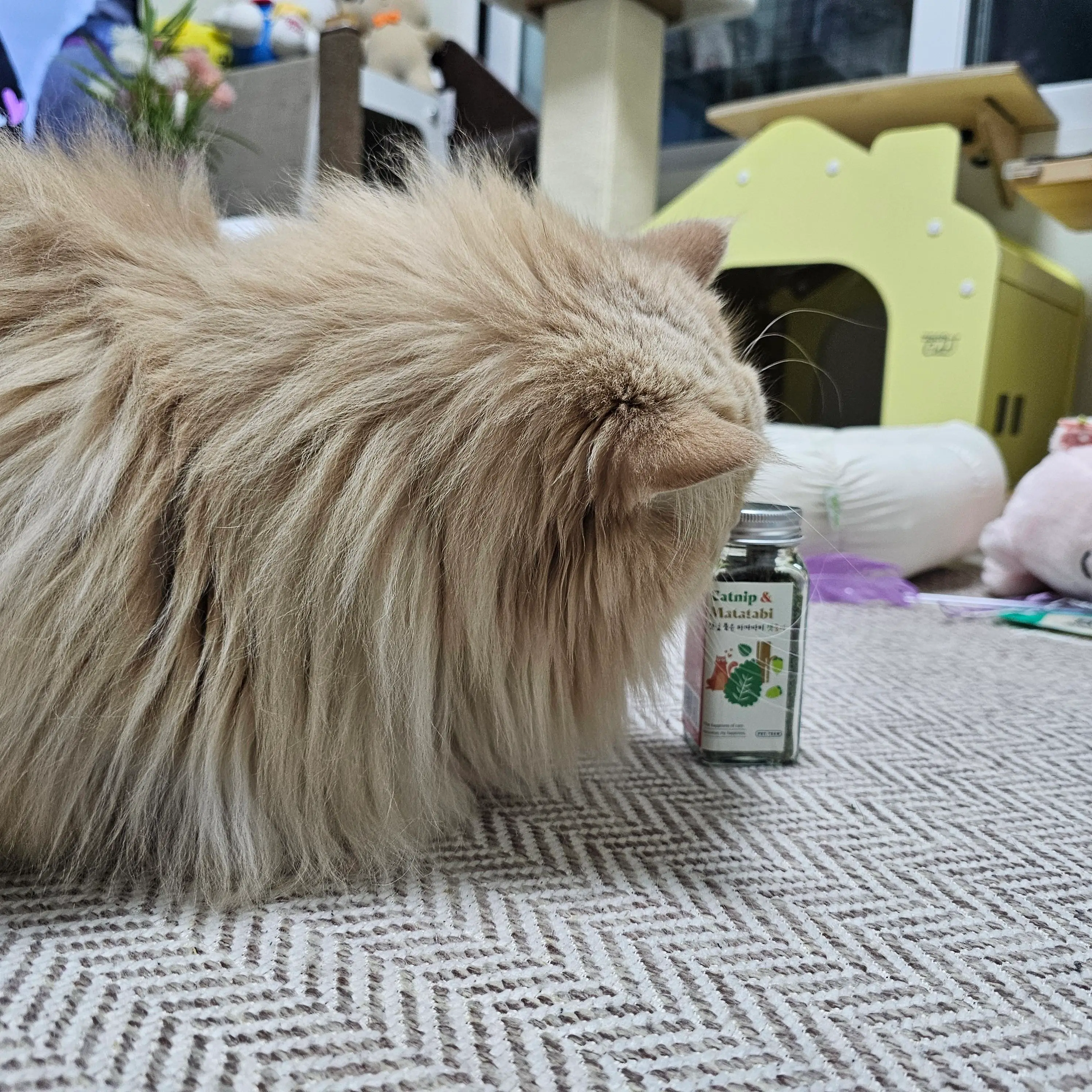 3번째 파일