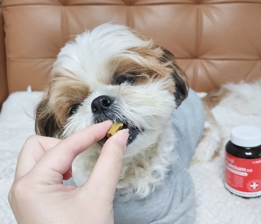 5번째 파일