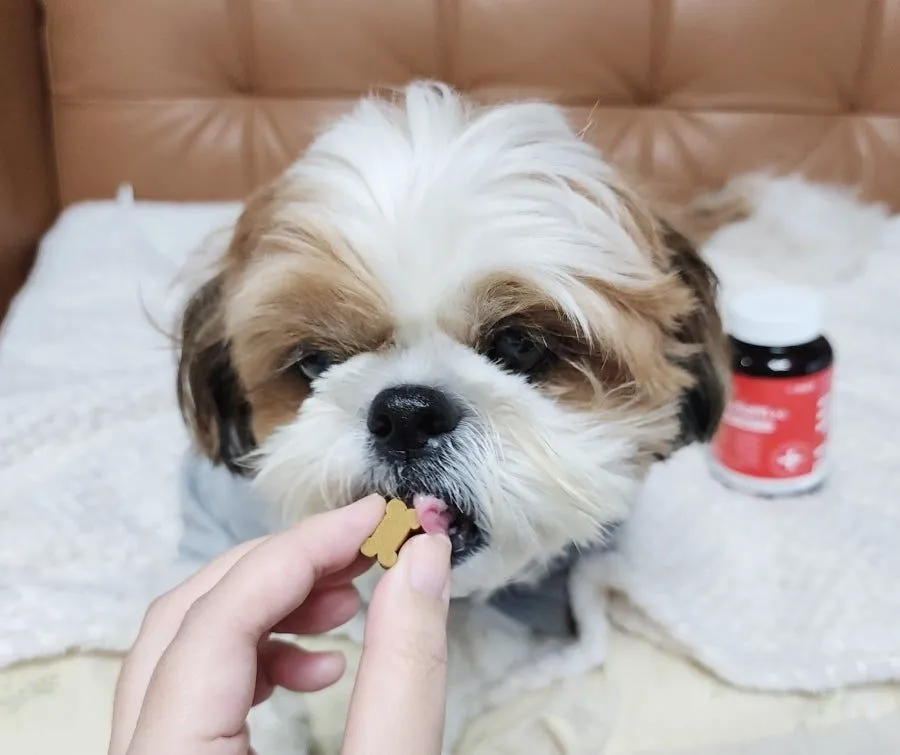 4번째 파일