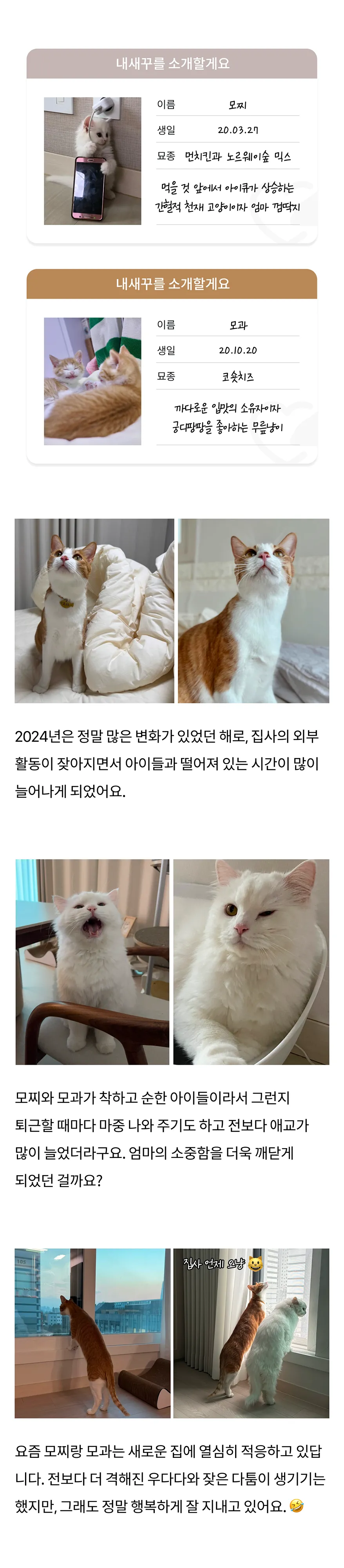 2번째 파일