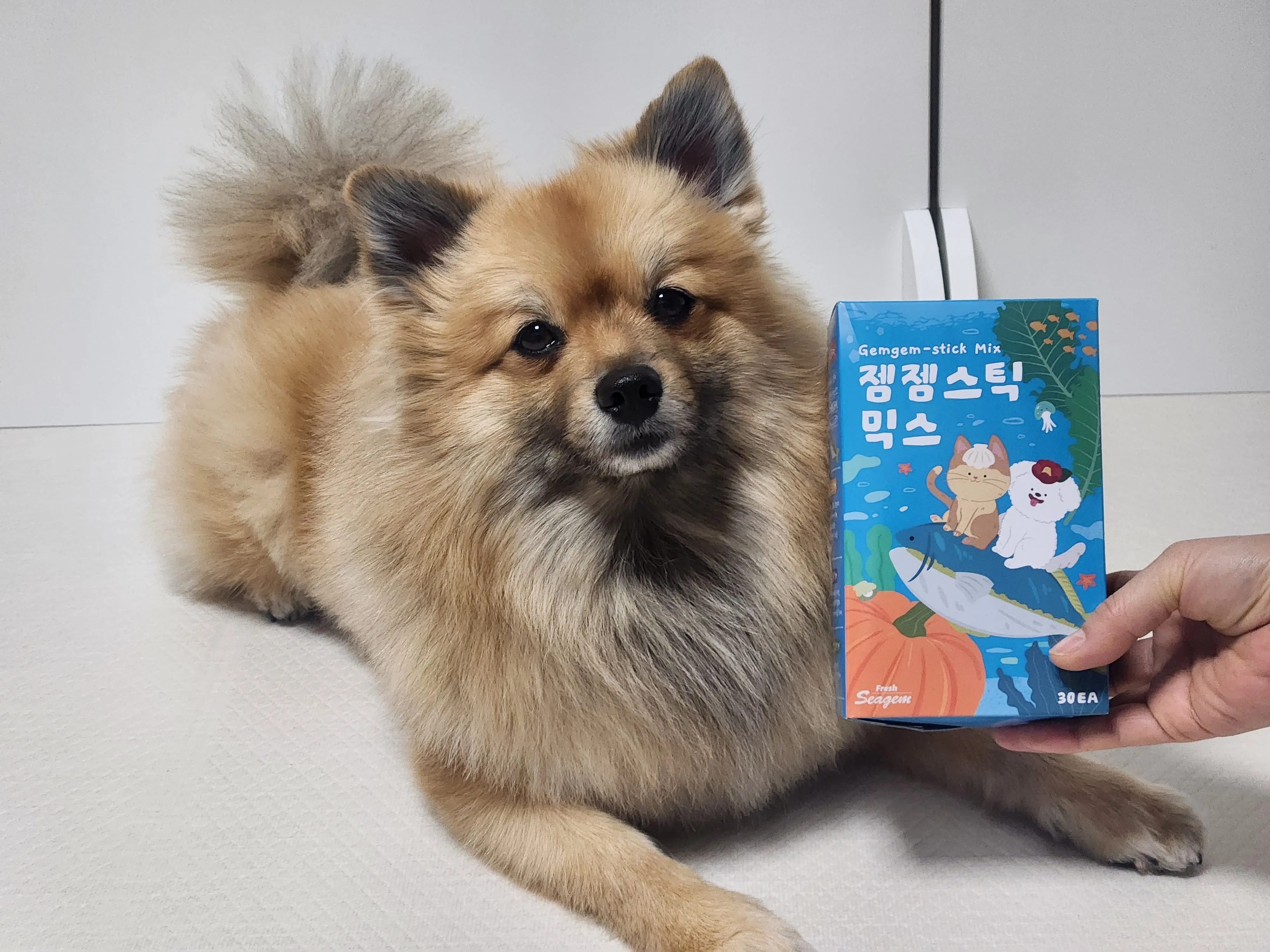1번째 파일