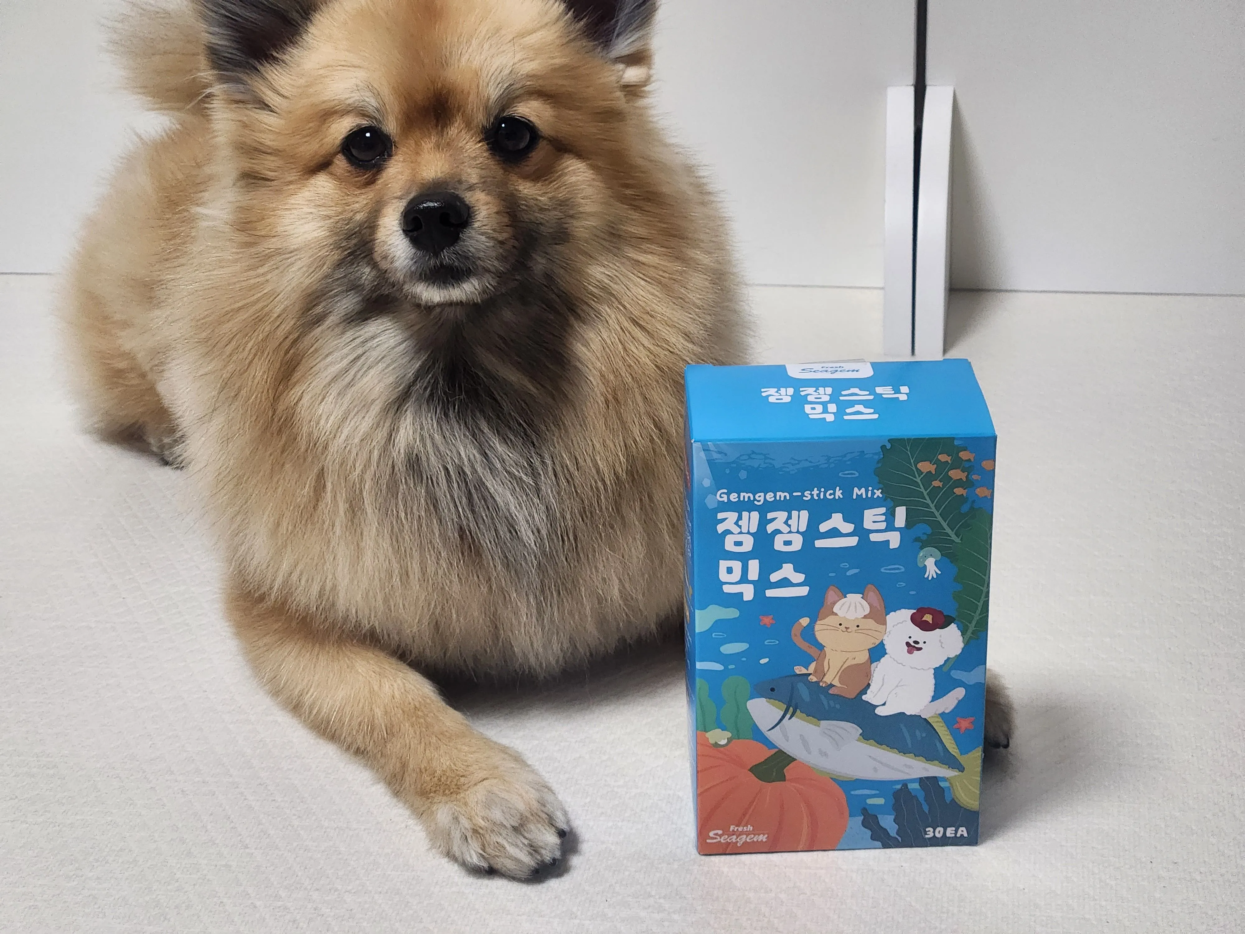 2번째 파일
