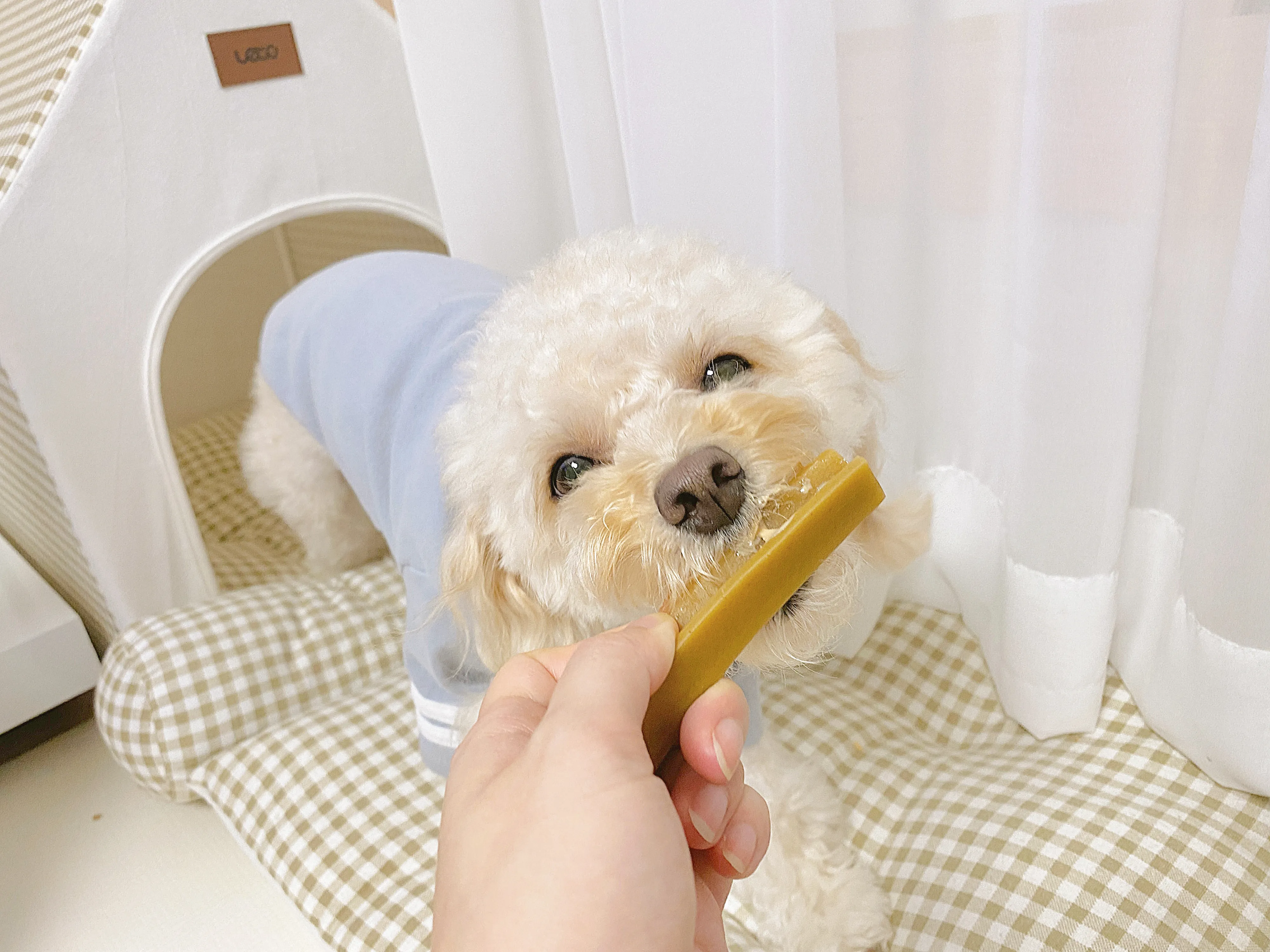 2번째 파일