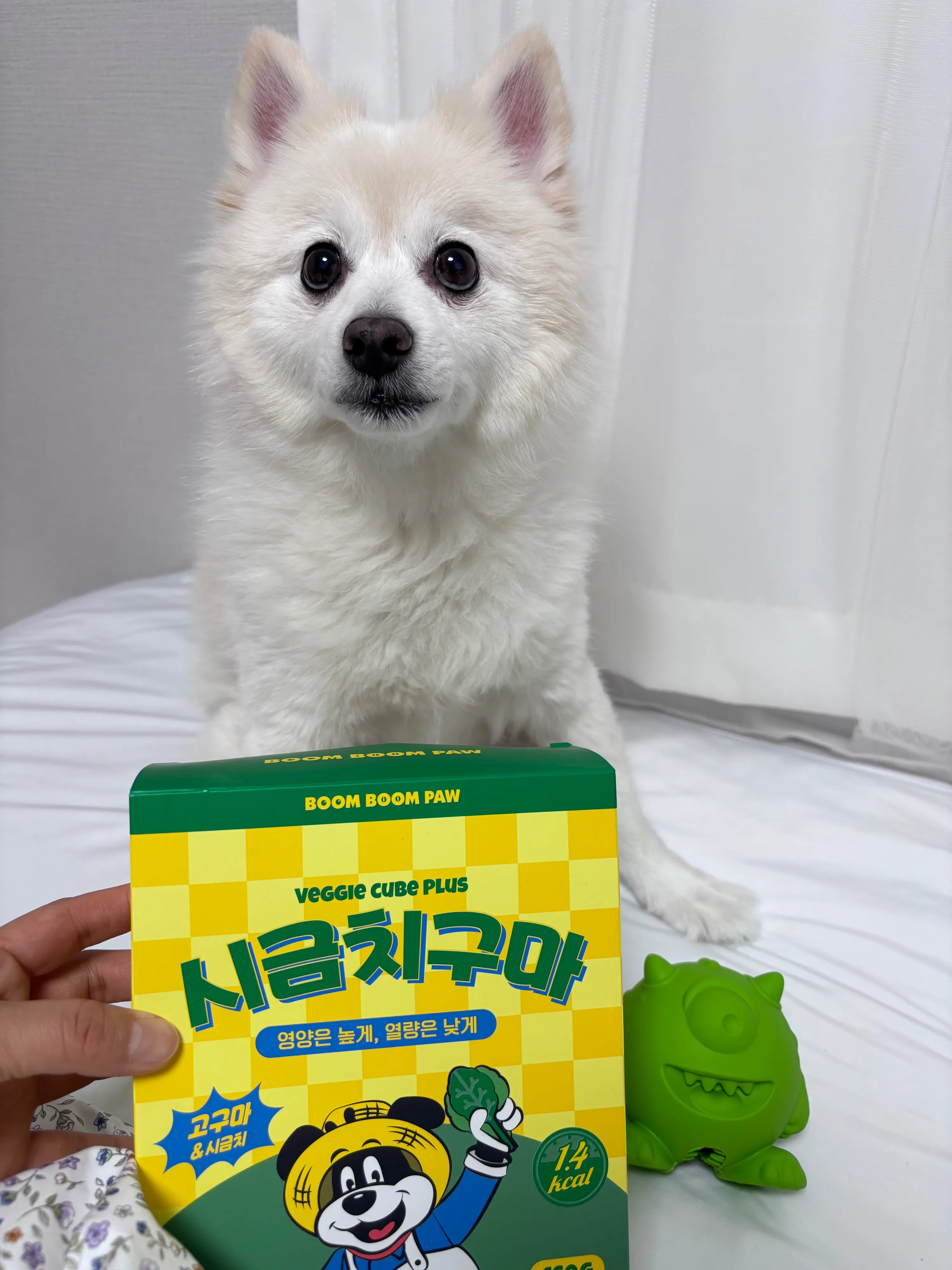5번째 파일