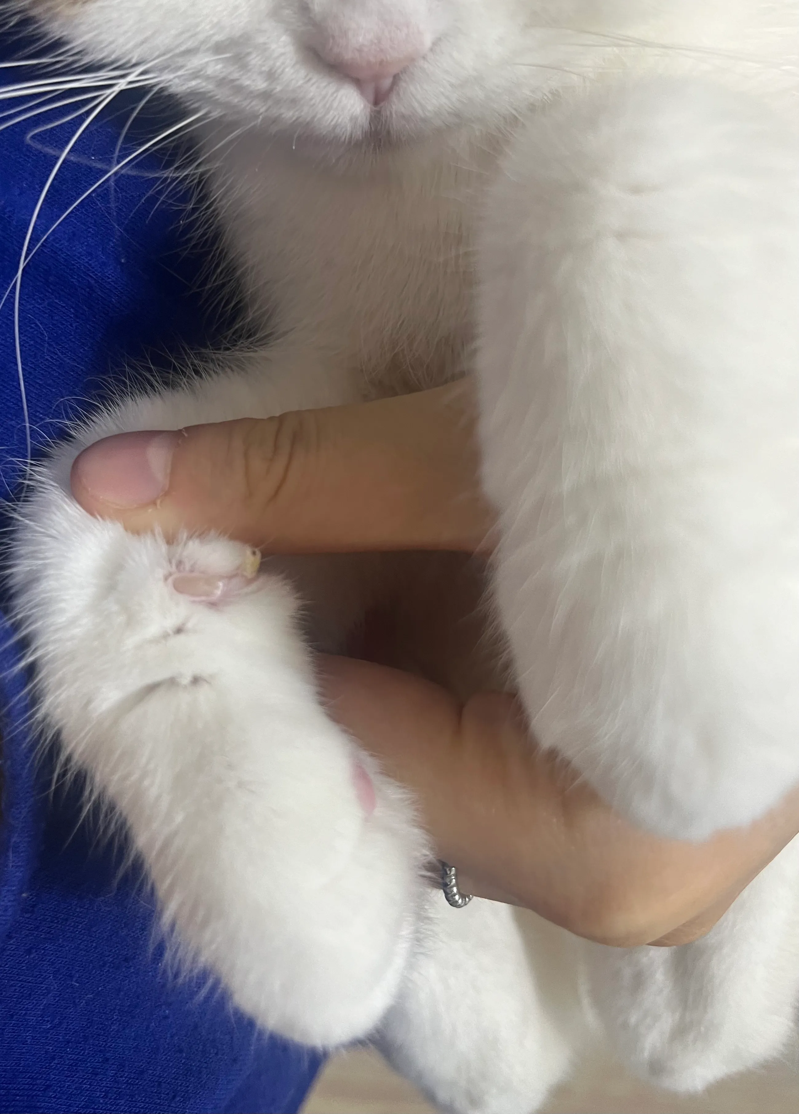 2번째 파일