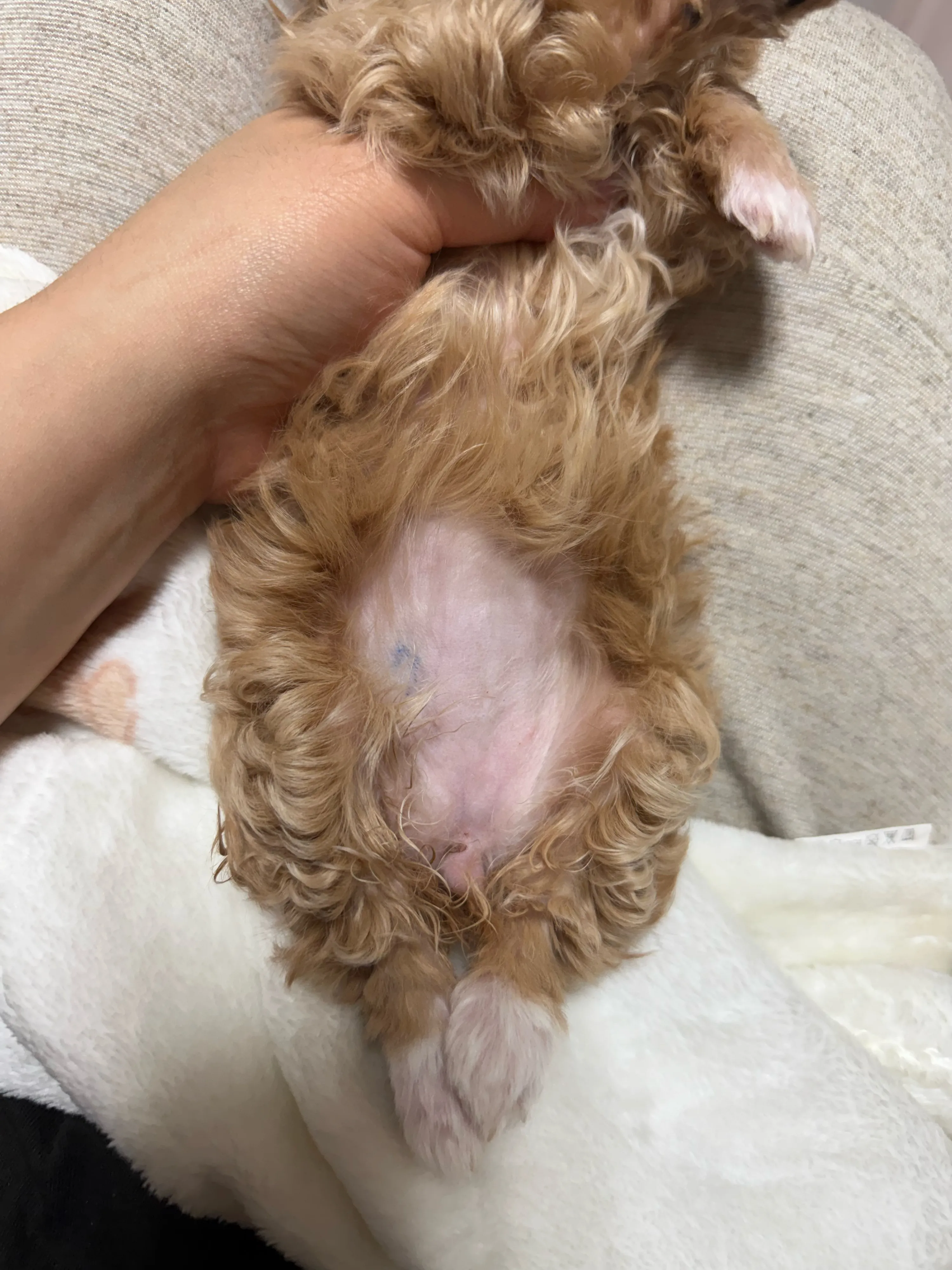 1번째 파일