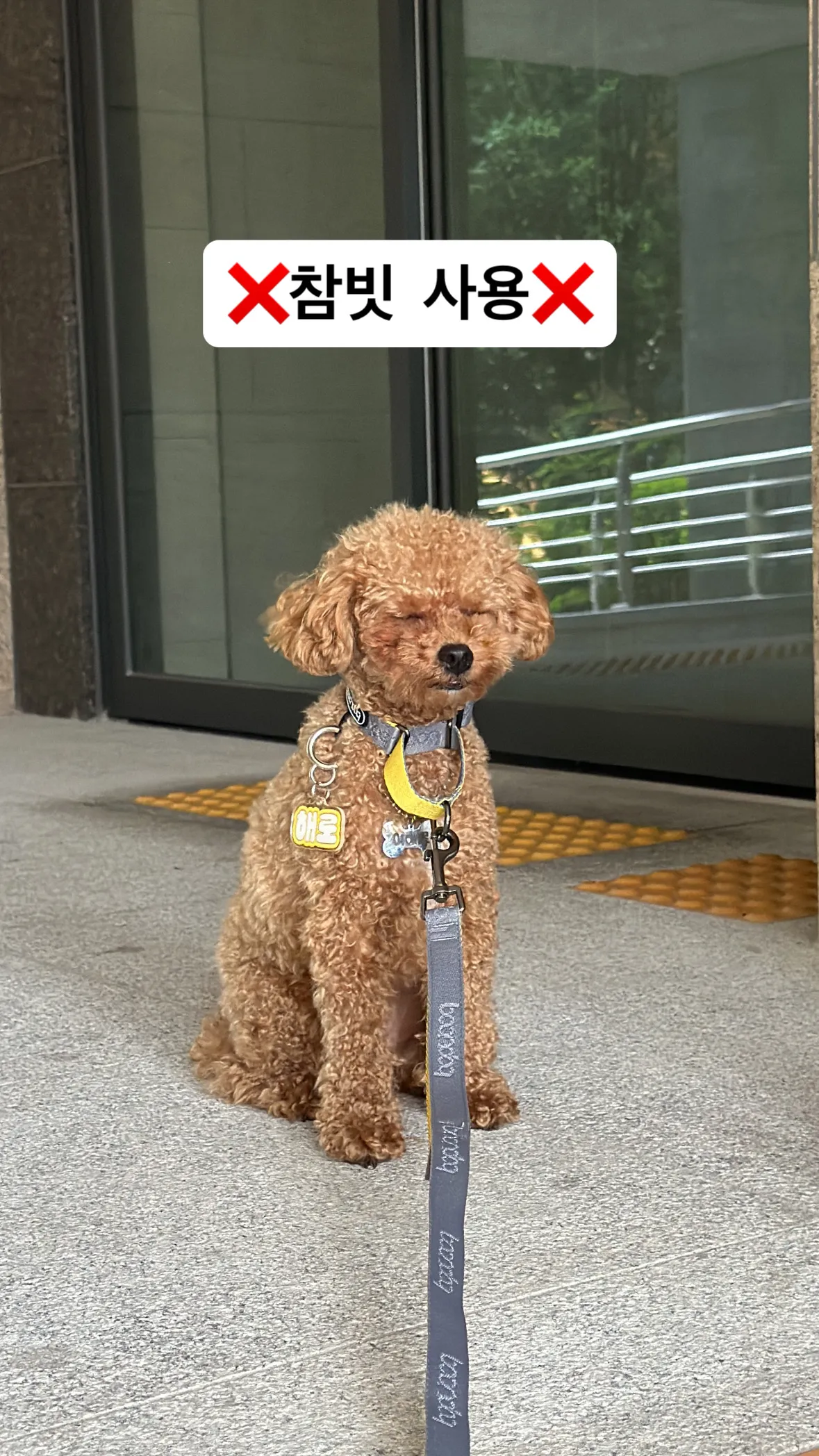 3번째 파일
