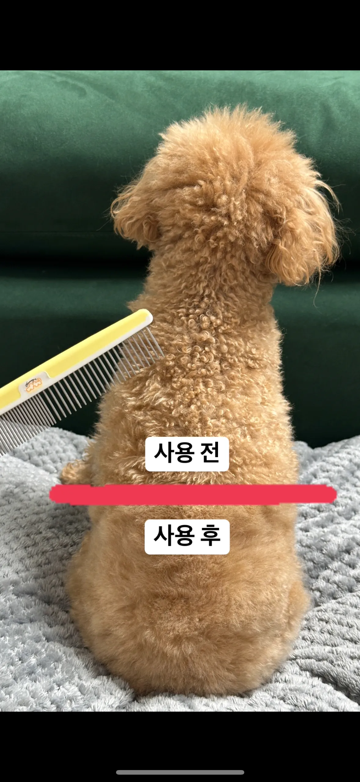 10번째 파일