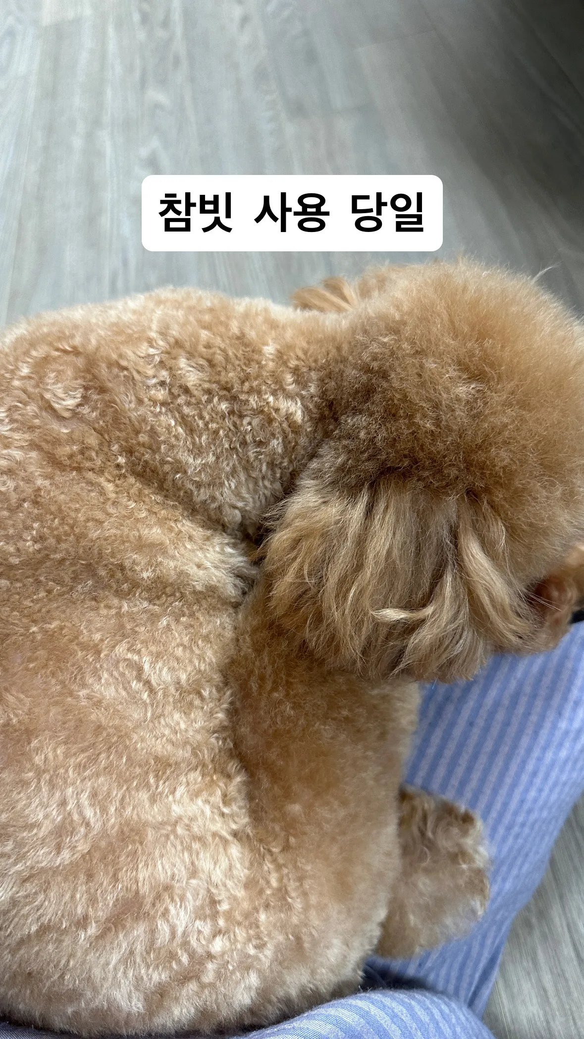 6번째 파일