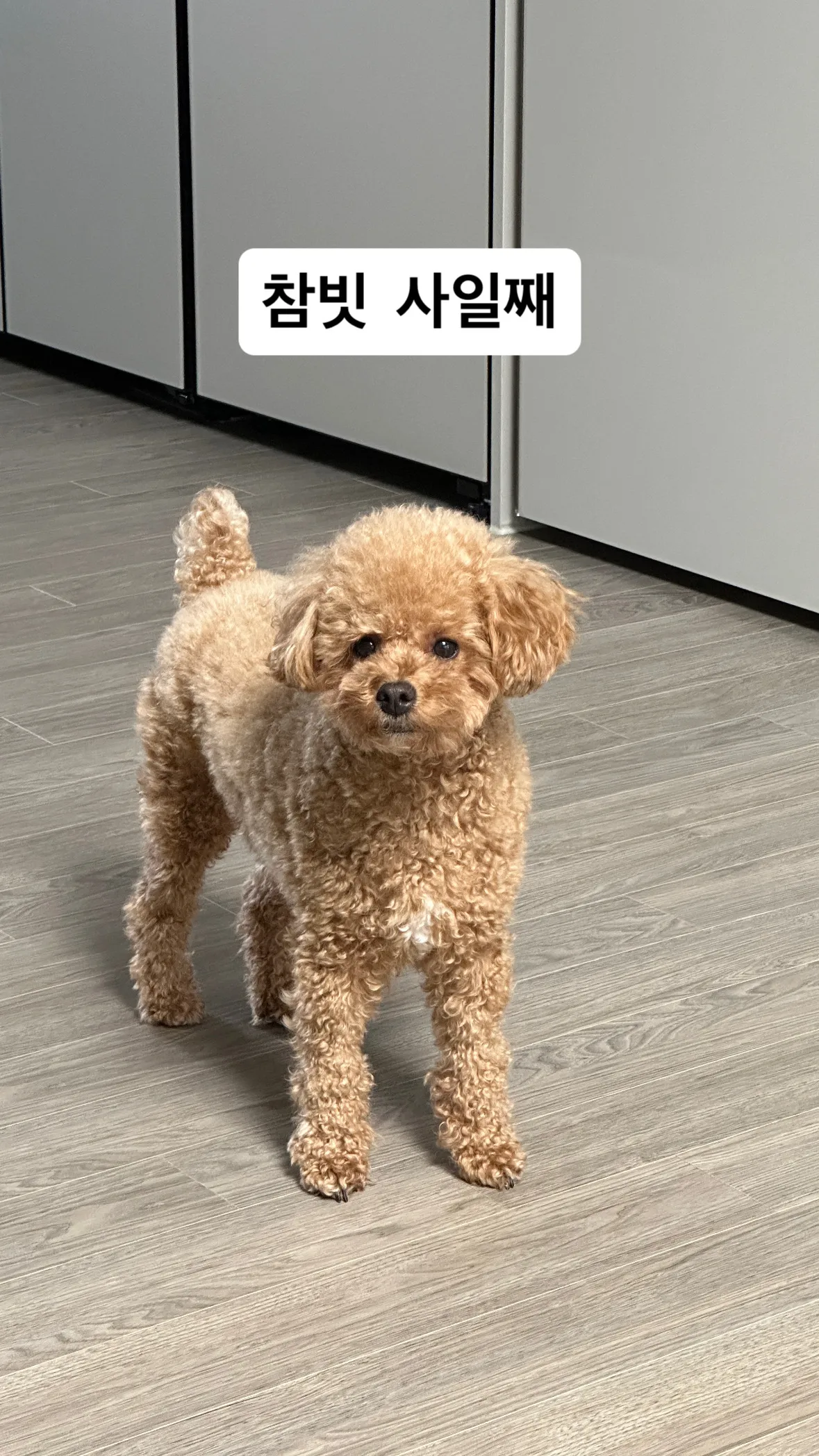 9번째 파일