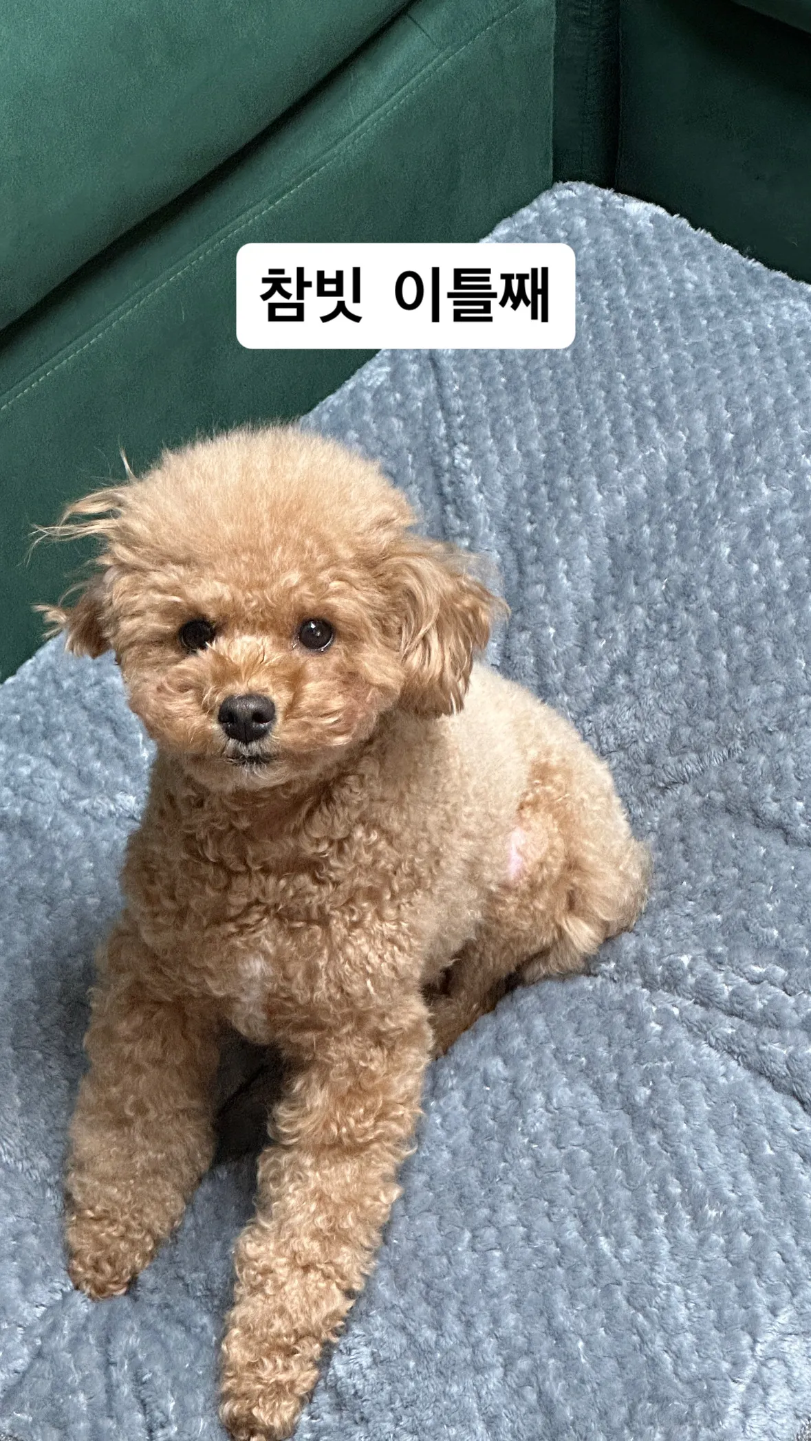 7번째 파일