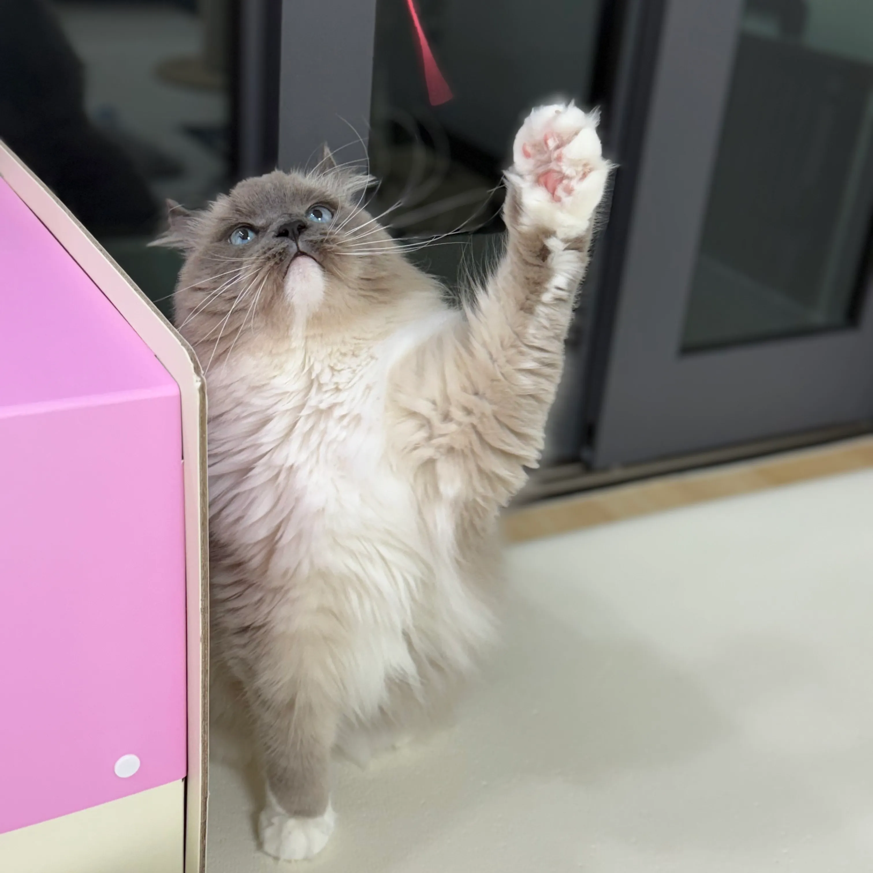 1번째 파일