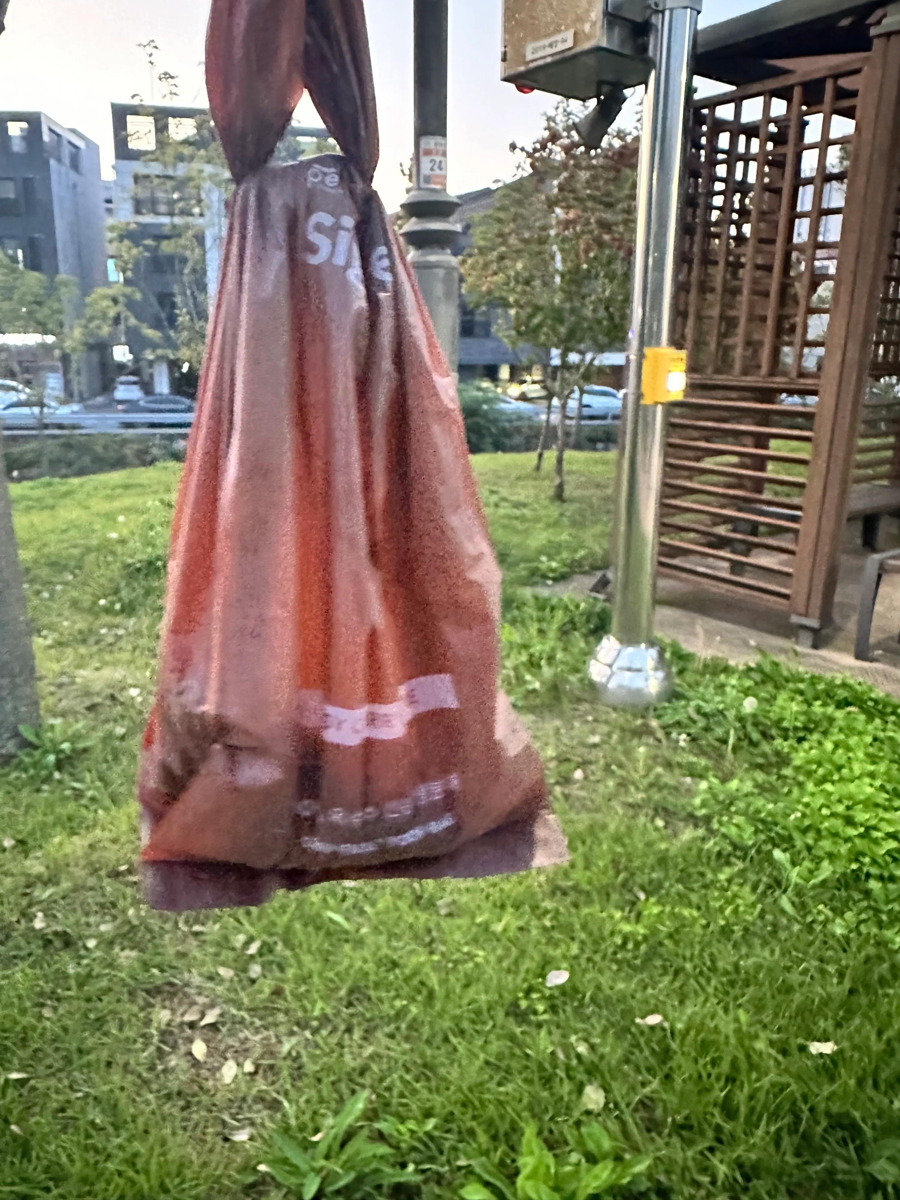 5번째 파일