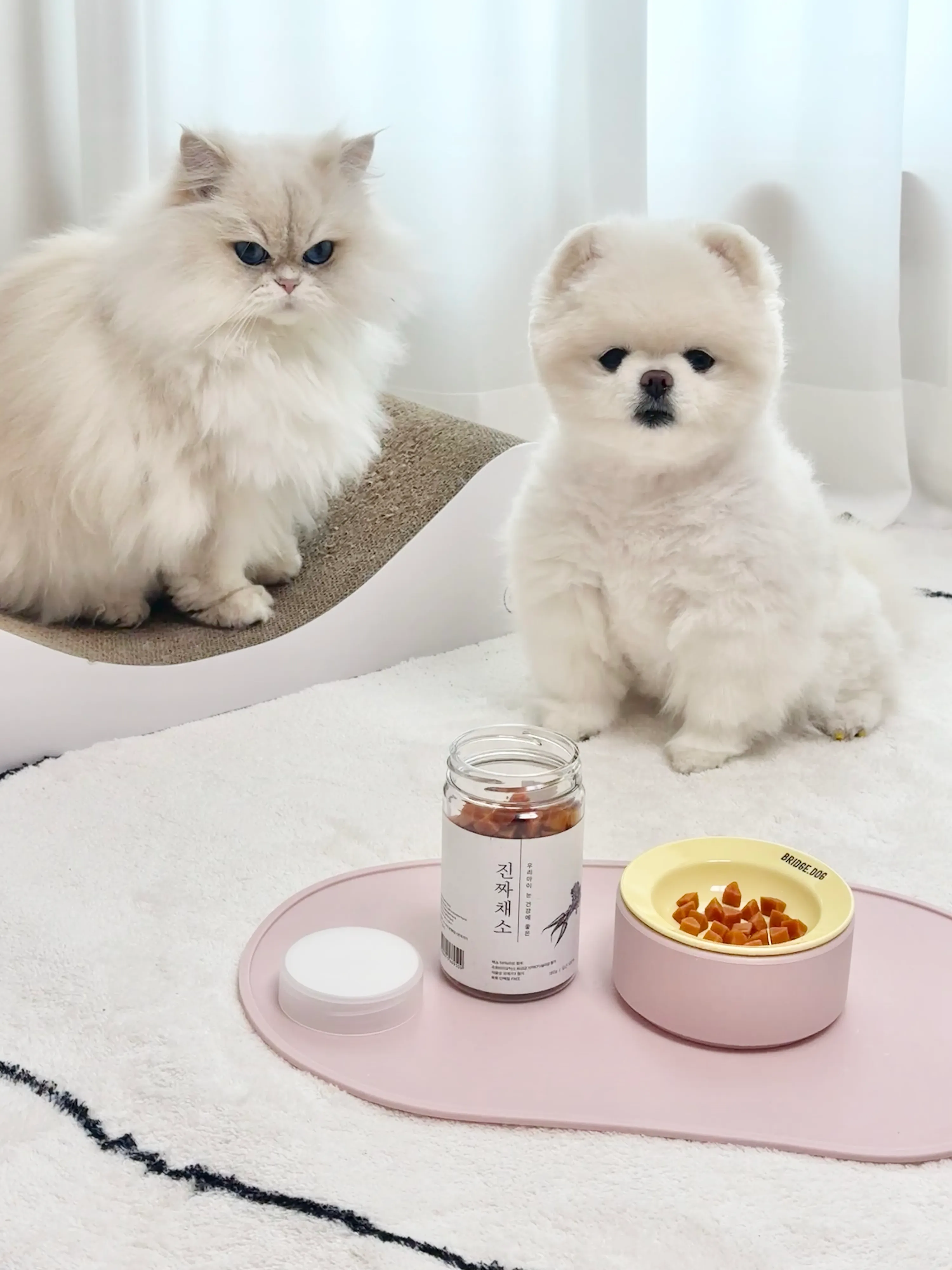 2번째 파일