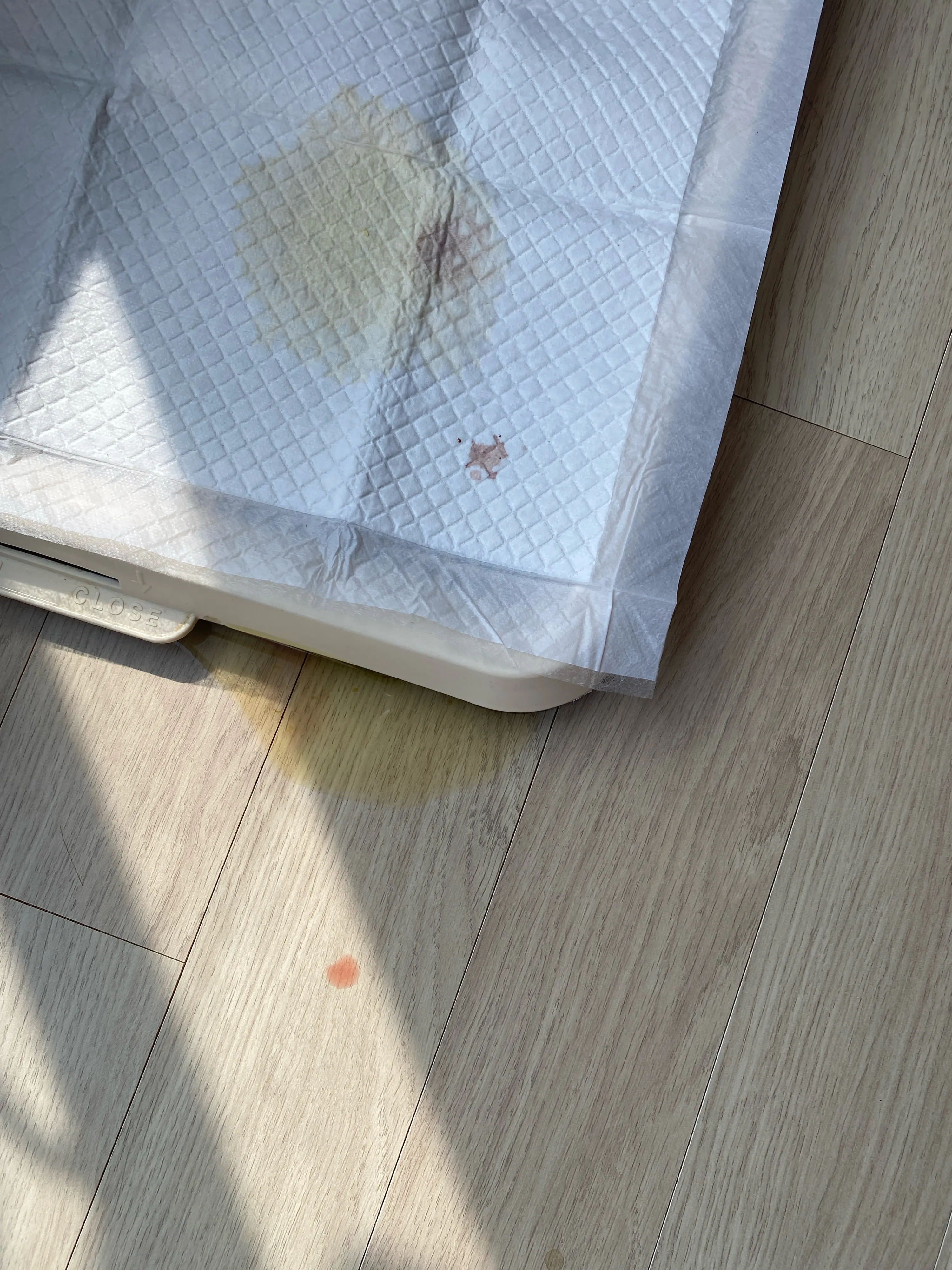 1번째 파일