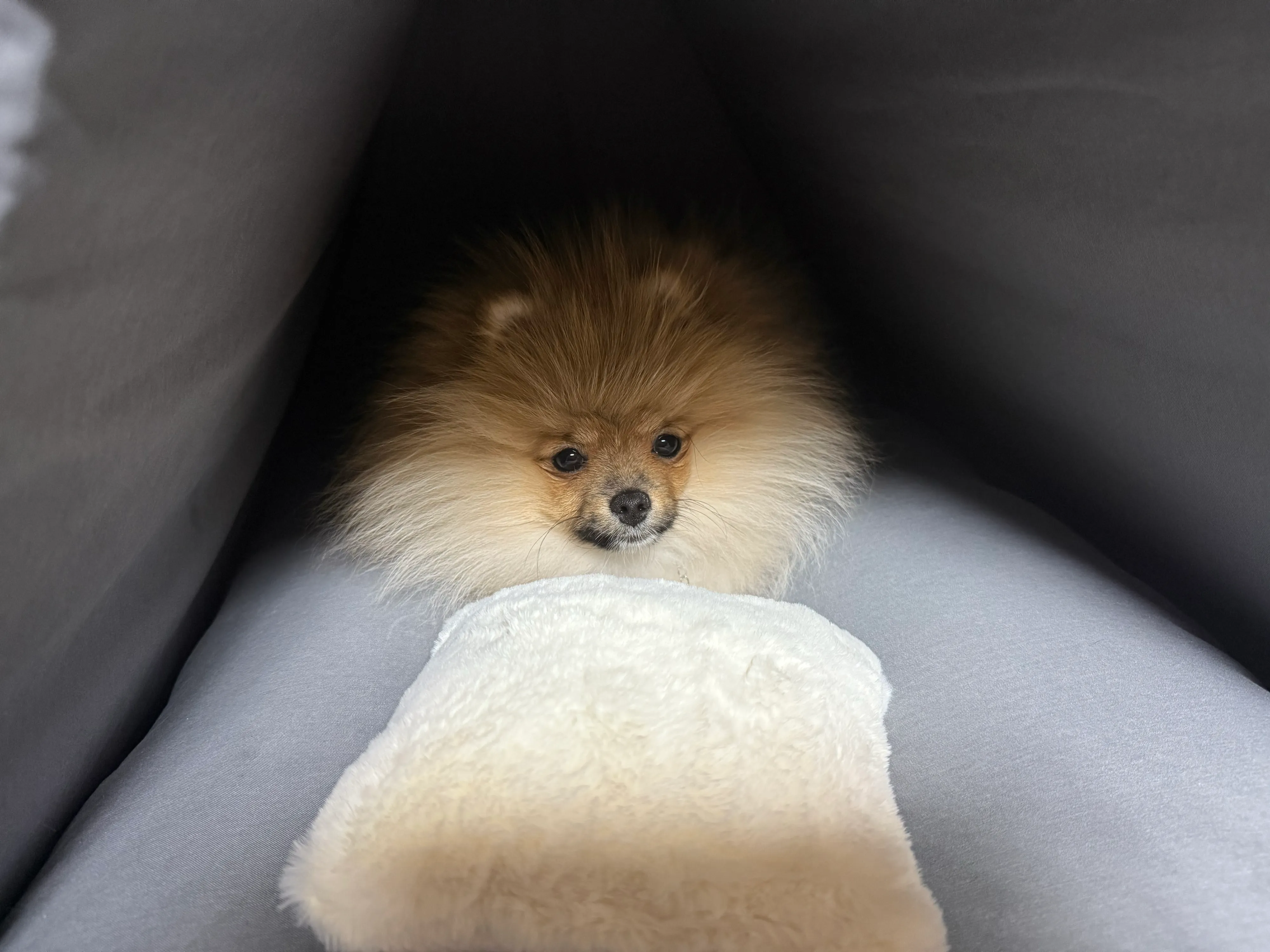 1번째 파일