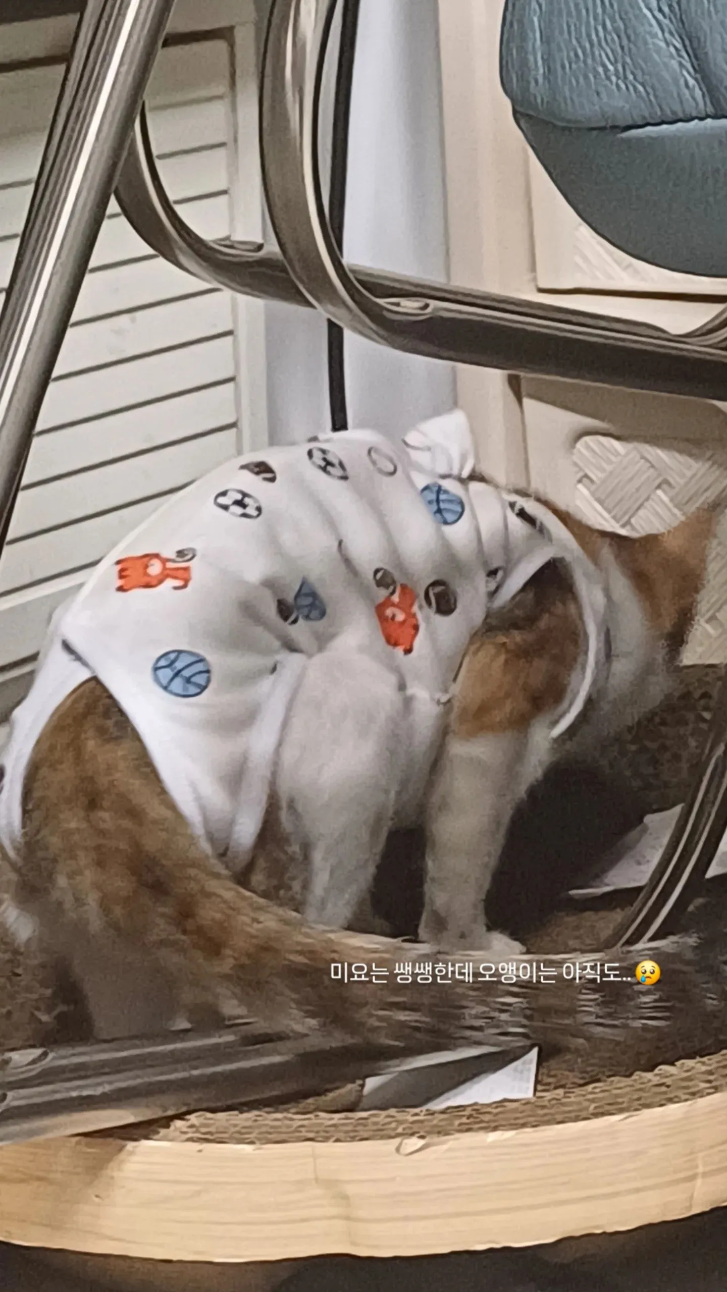 1번째 파일