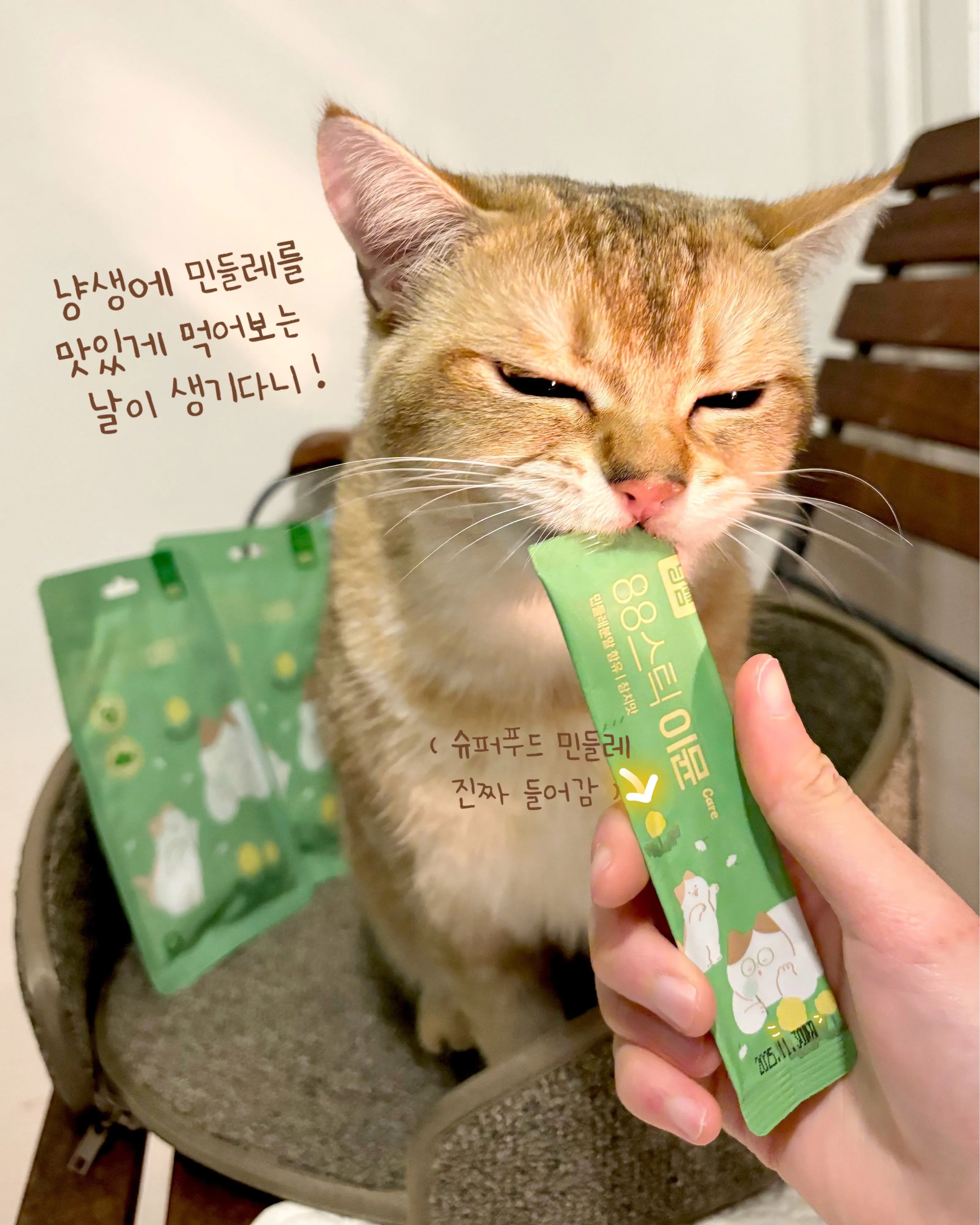 3번째 파일