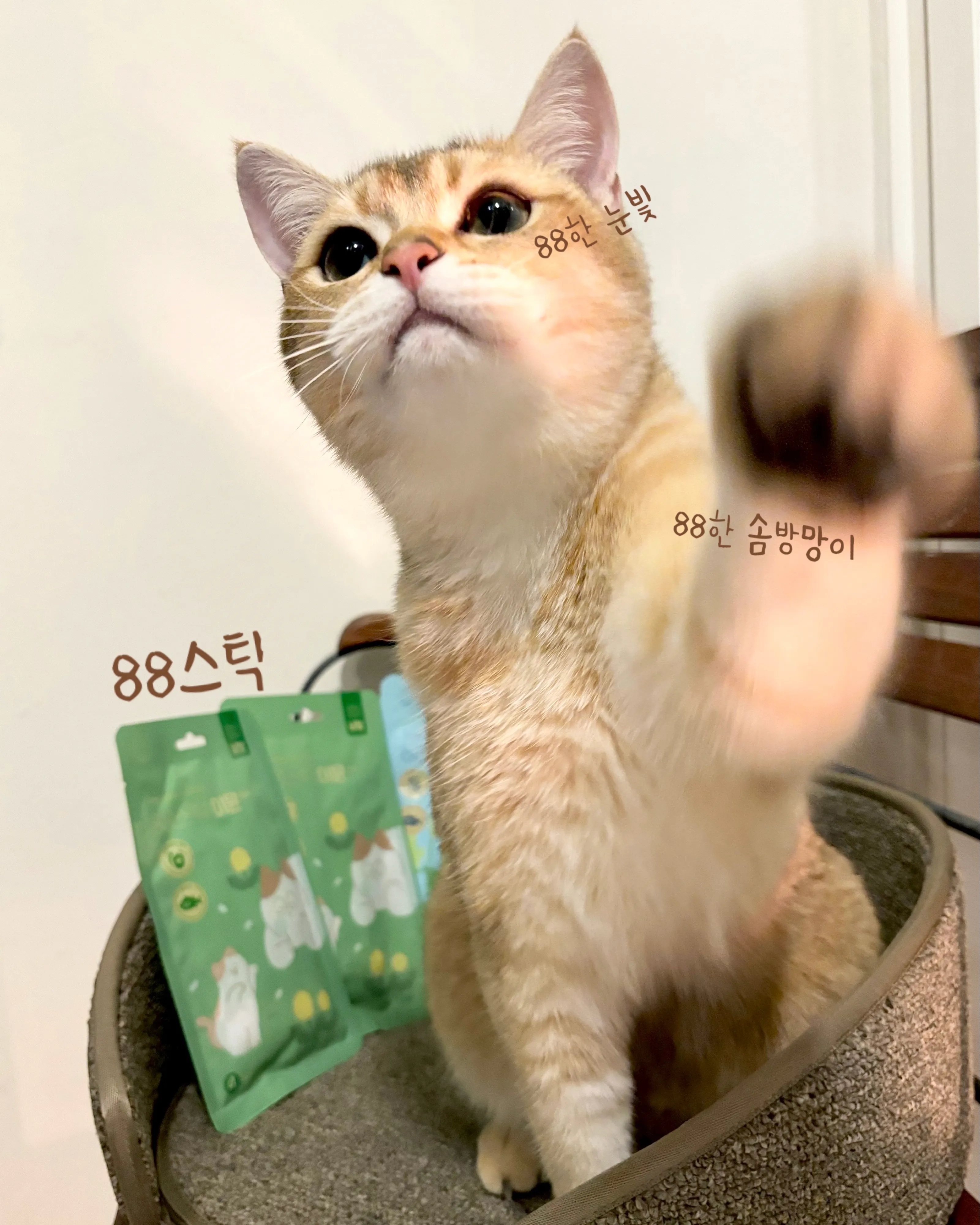 2번째 파일
