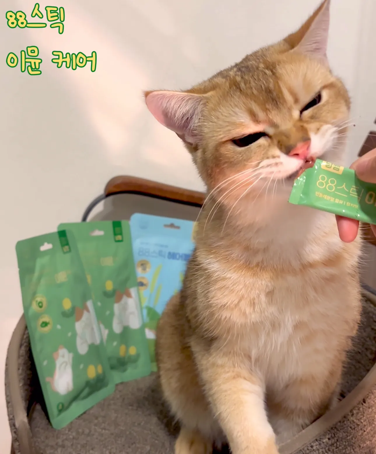 4번째 파일