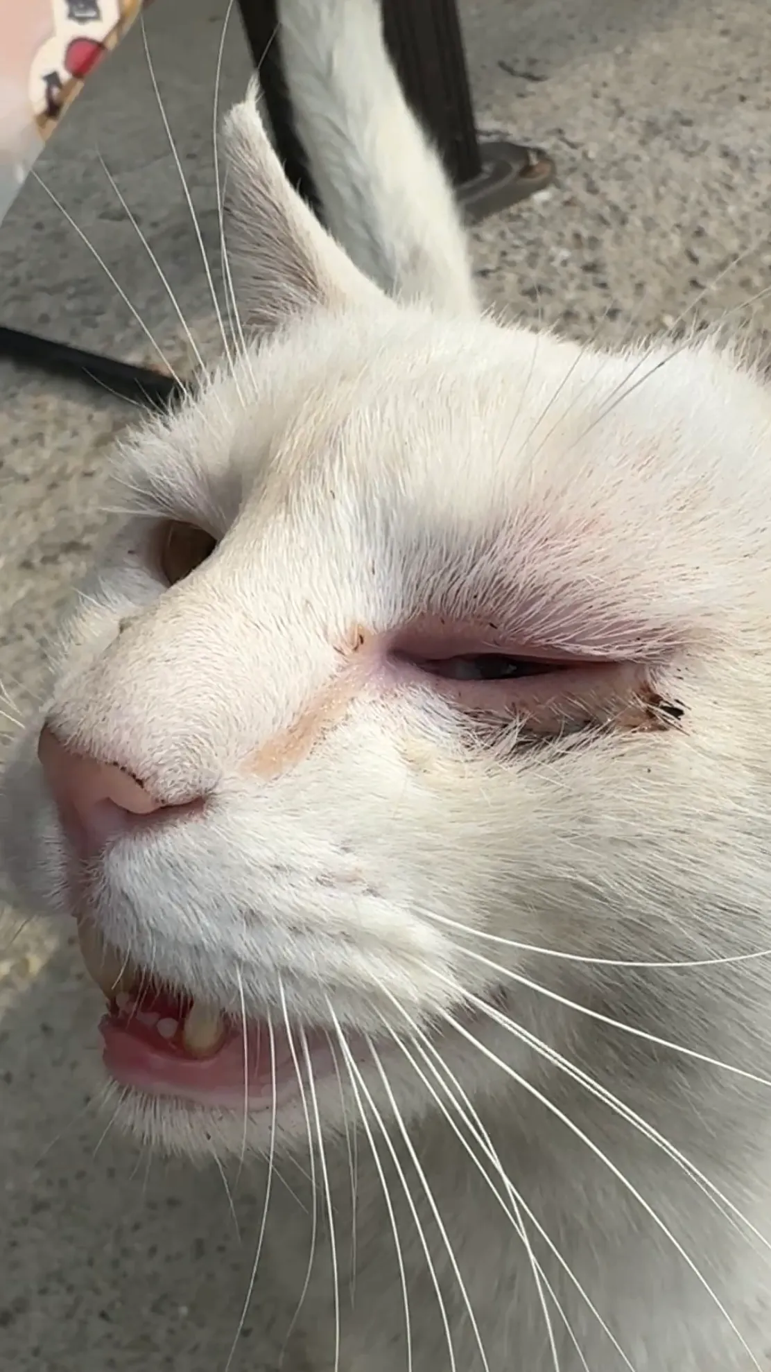 1번째 파일