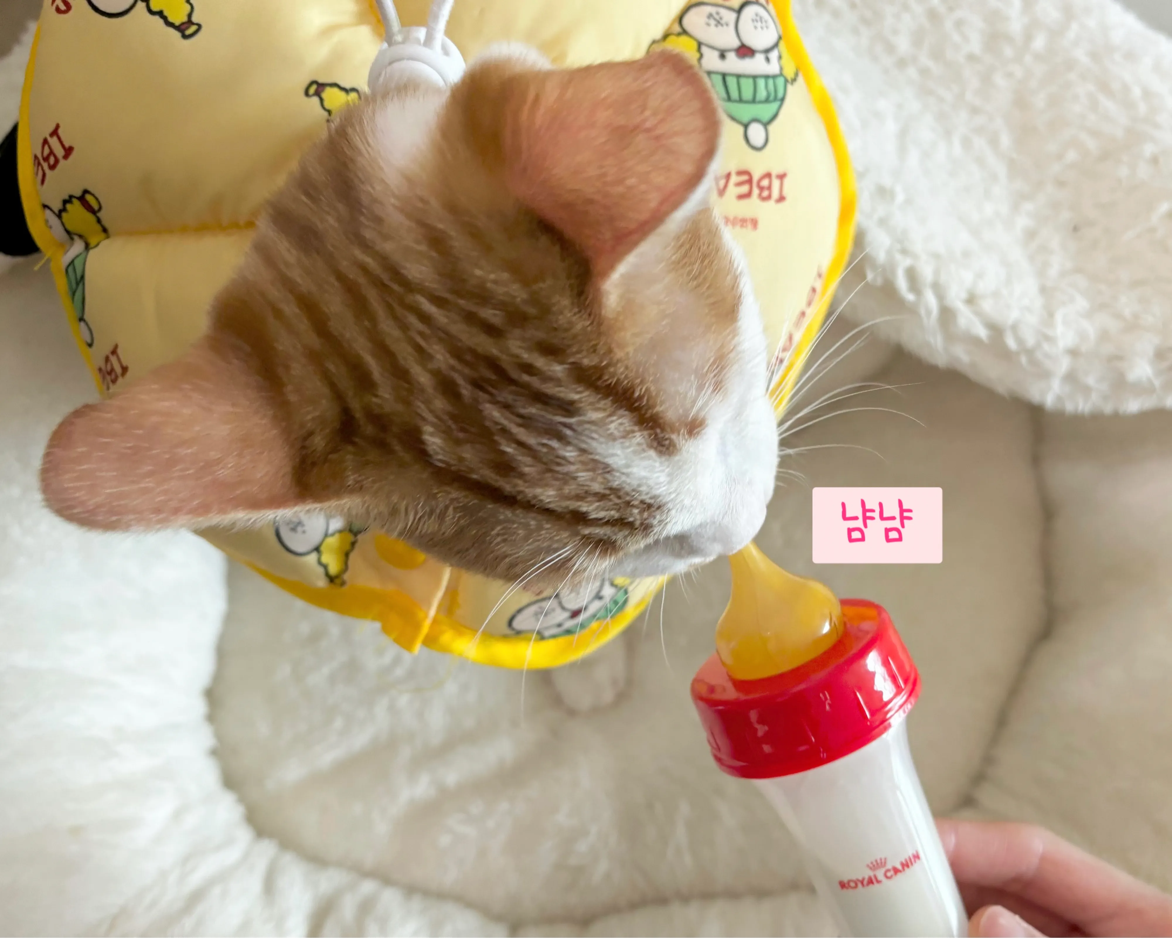 5번째 파일