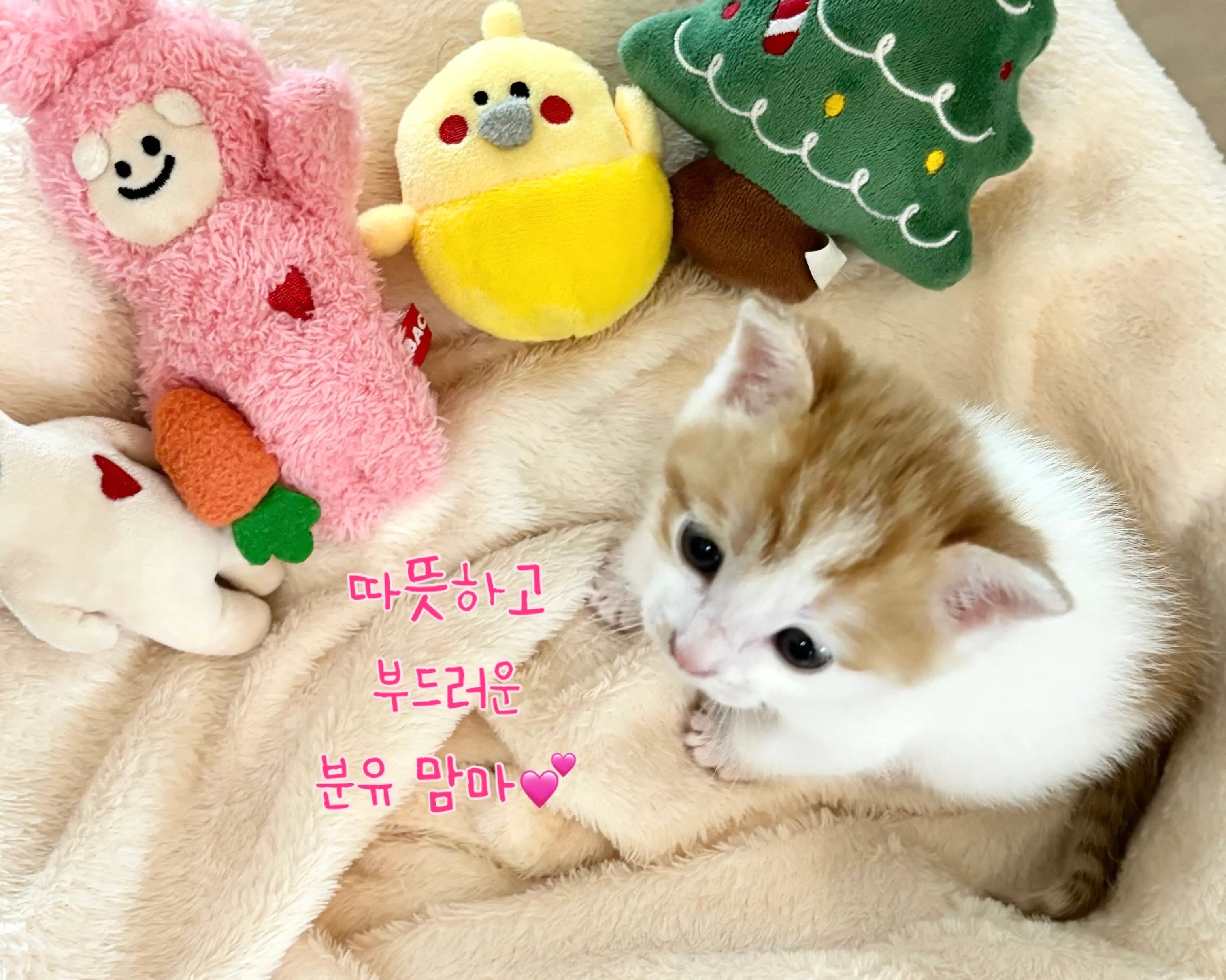 2번째 파일