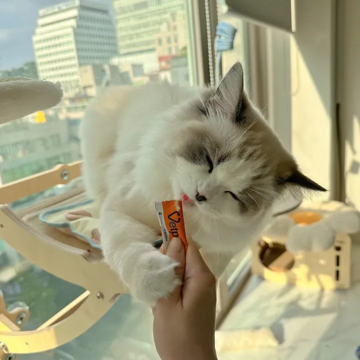 5번째 파일