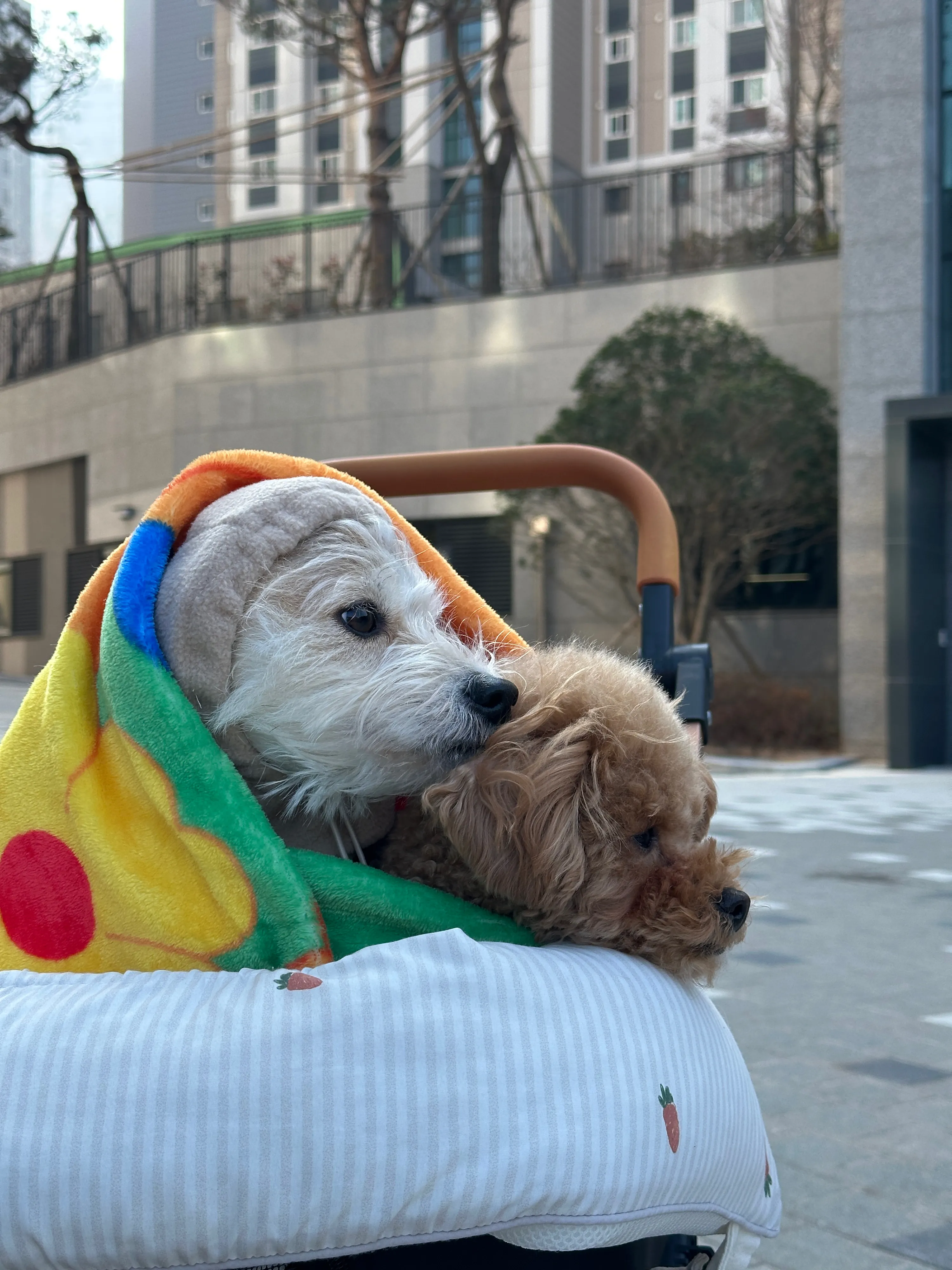 3번째 파일