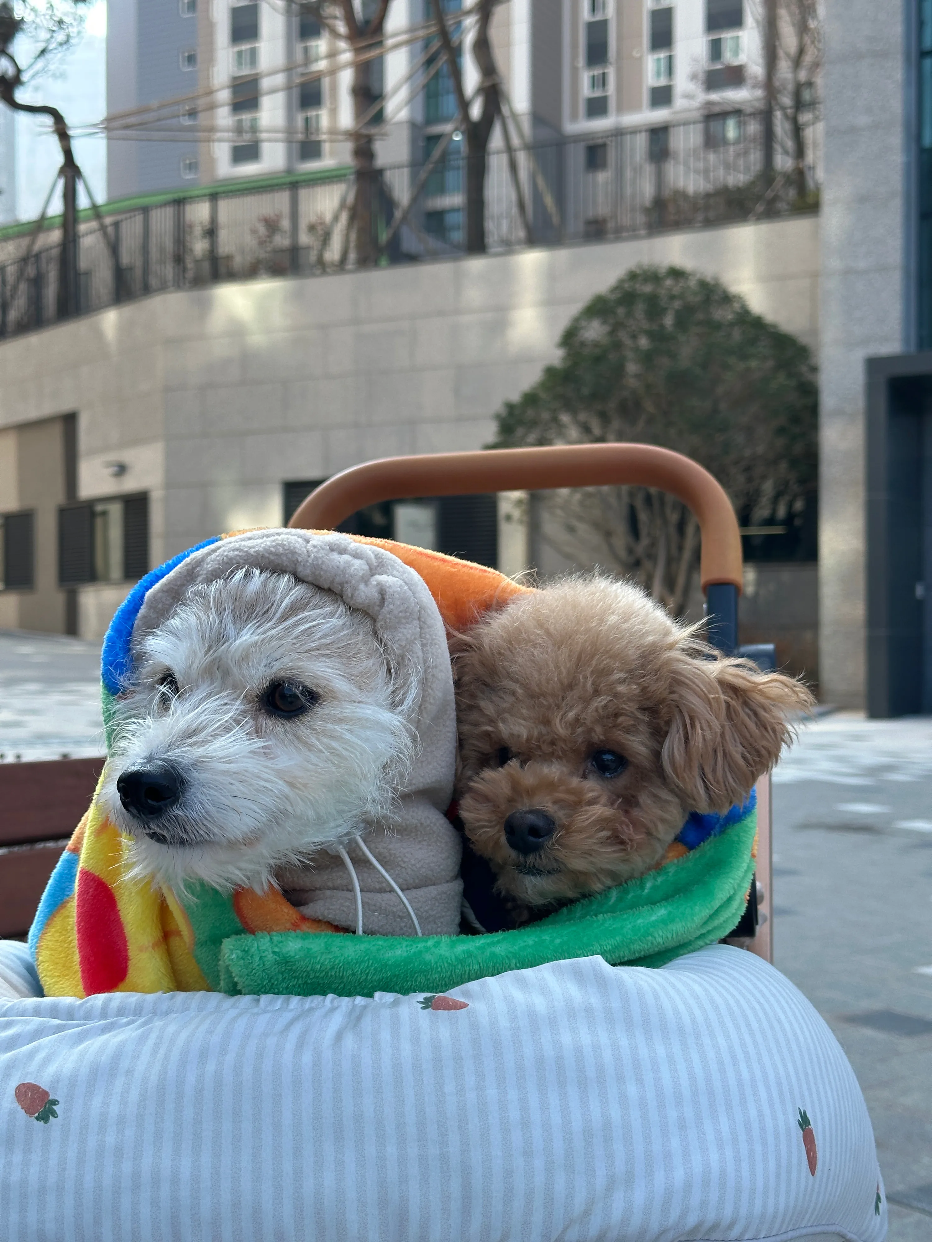 1번째 파일