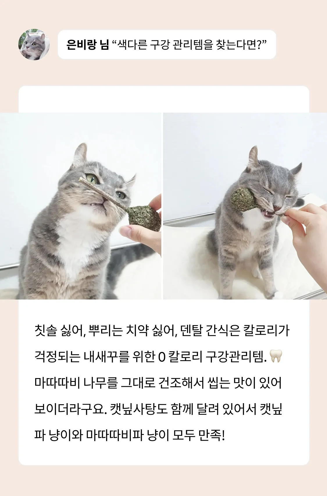 8번째 파일