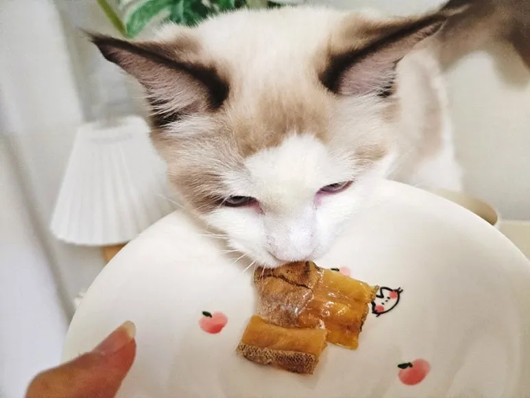 5번째 파일