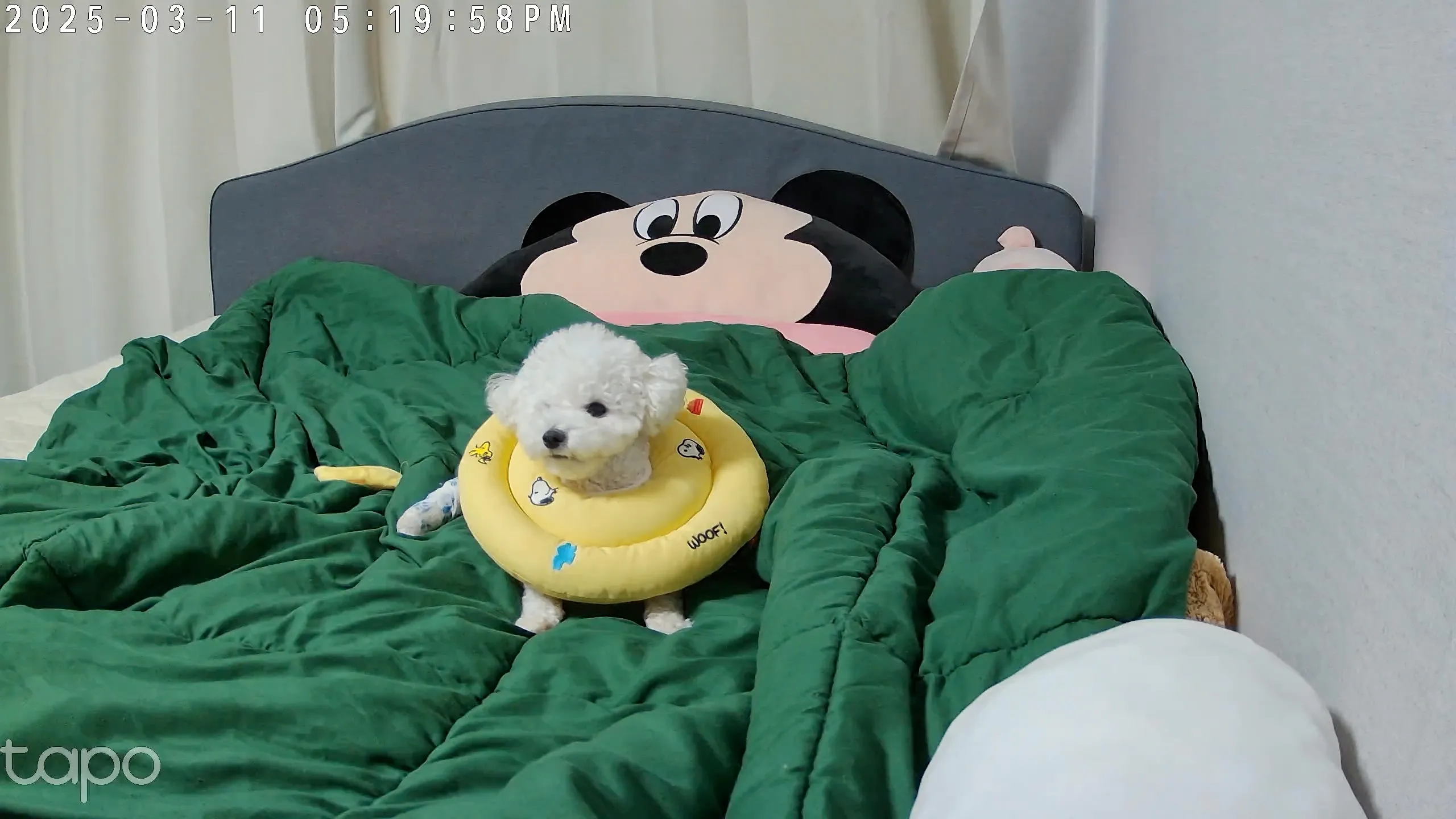 2번째 파일