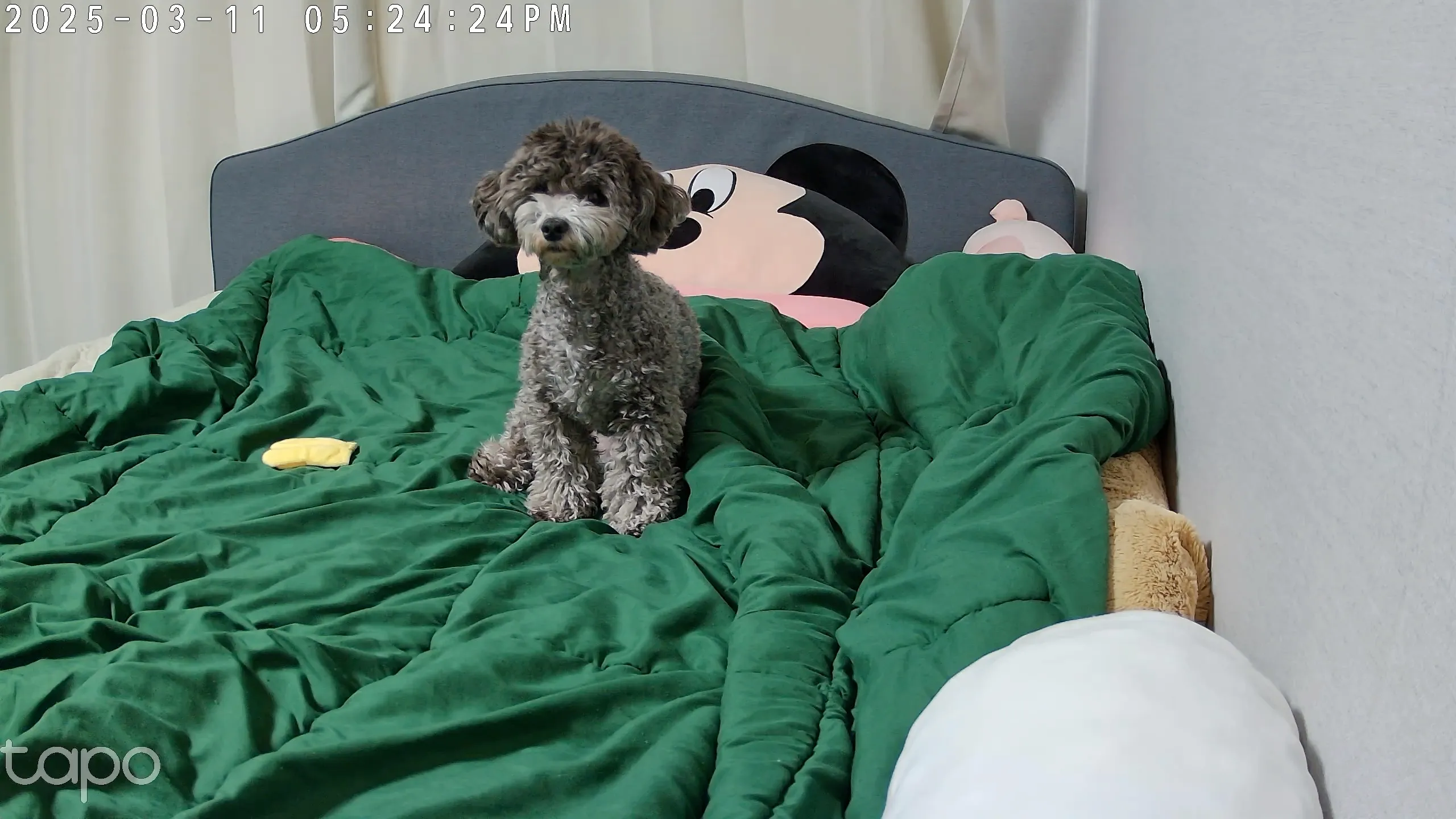 4번째 파일