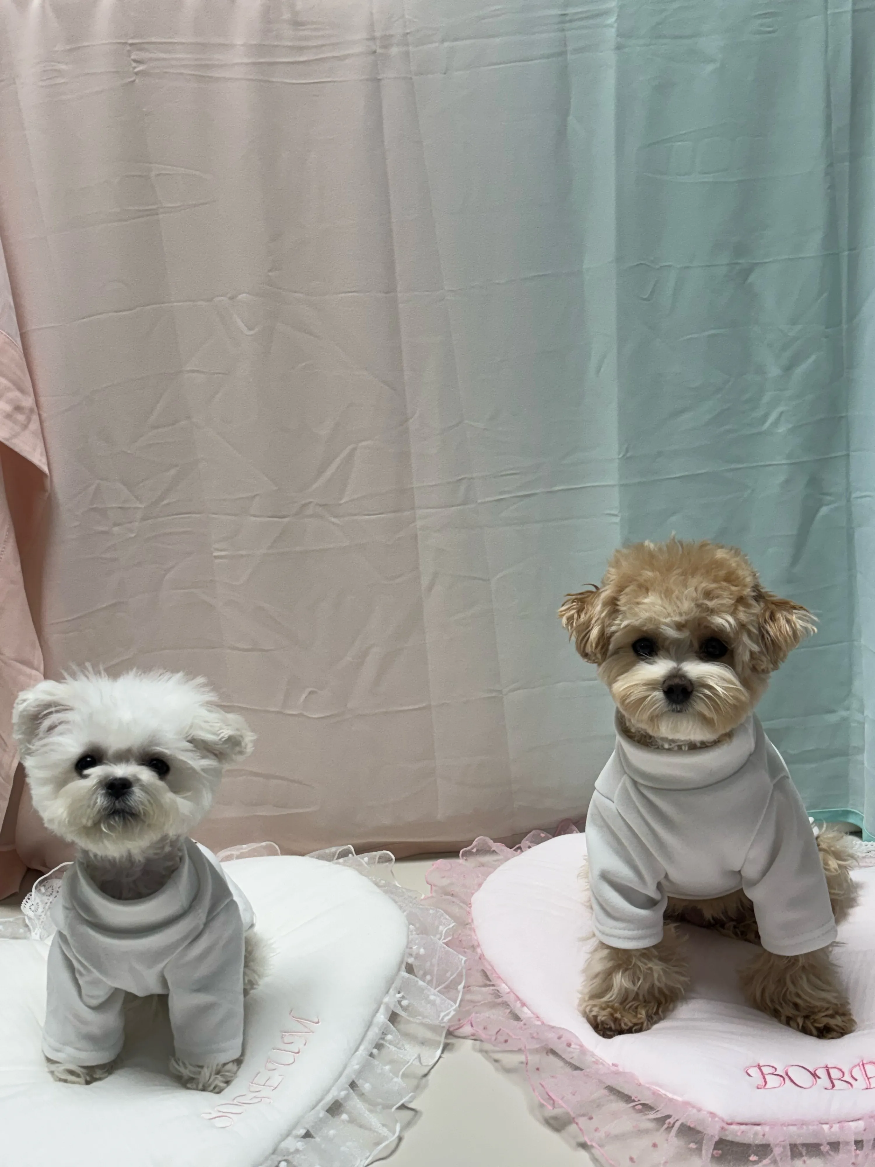 3번째 파일