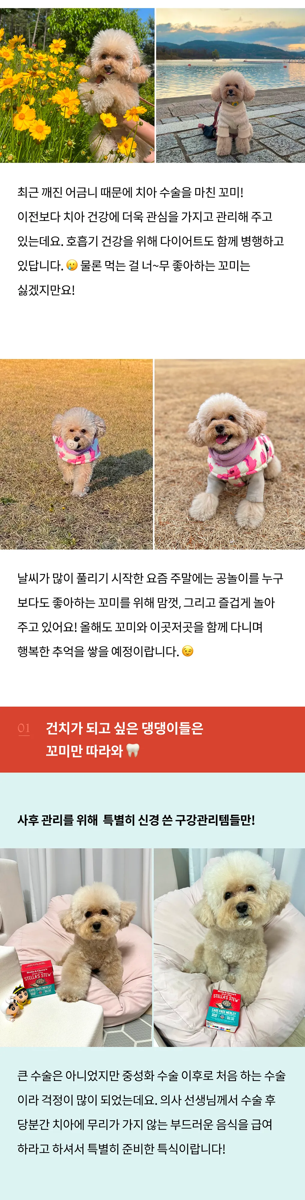 2번째 파일