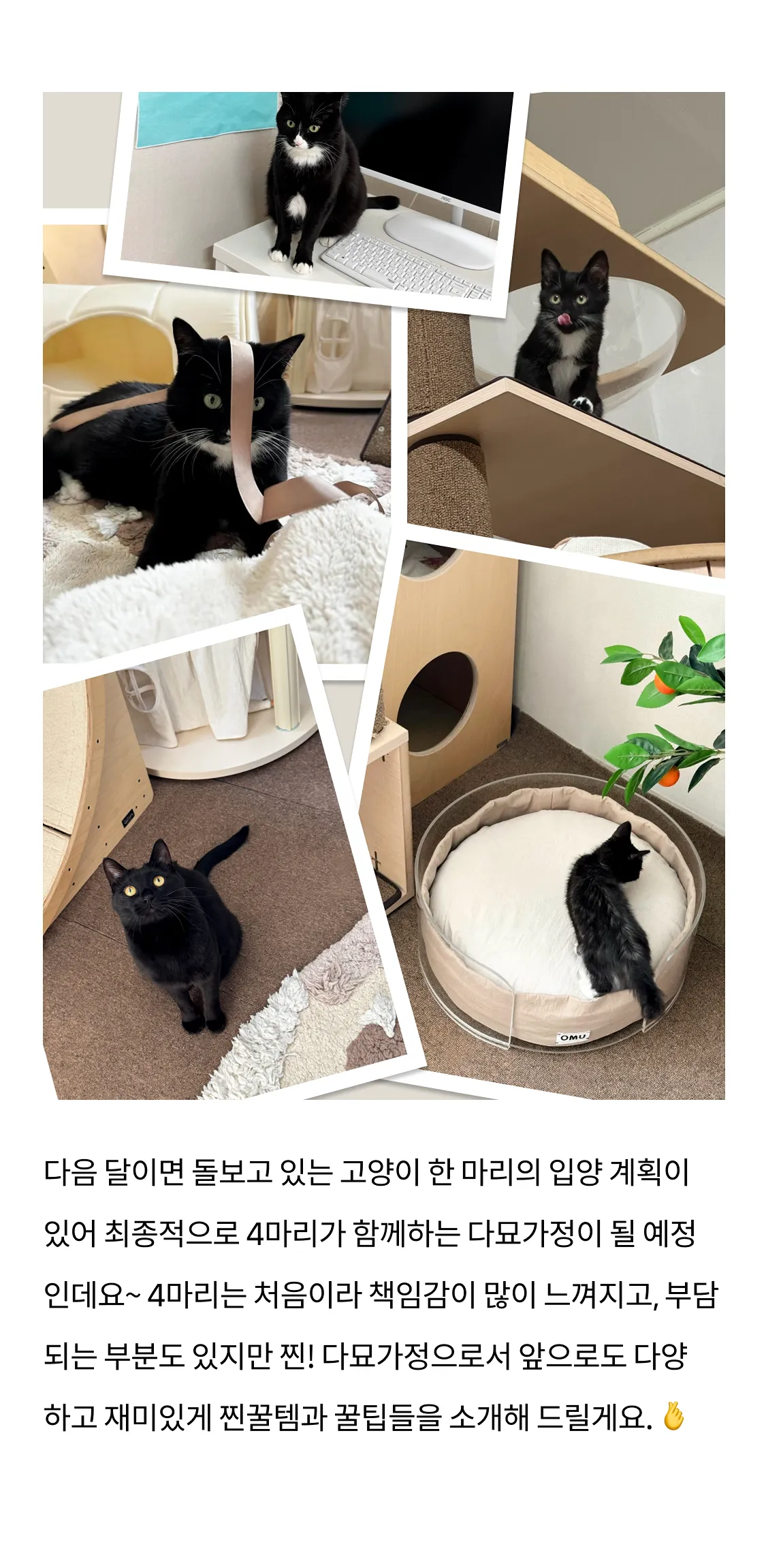 9번째 파일