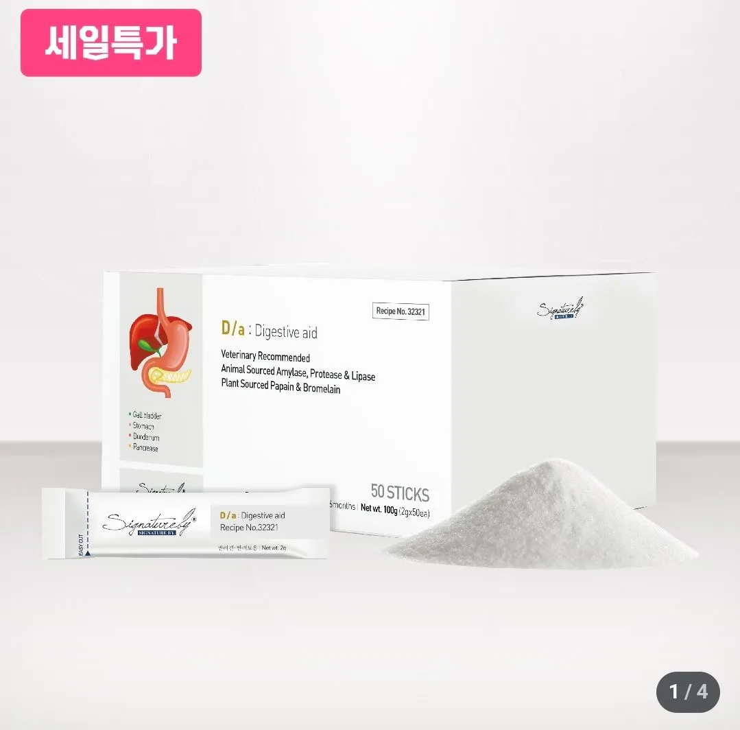 4번째 파일