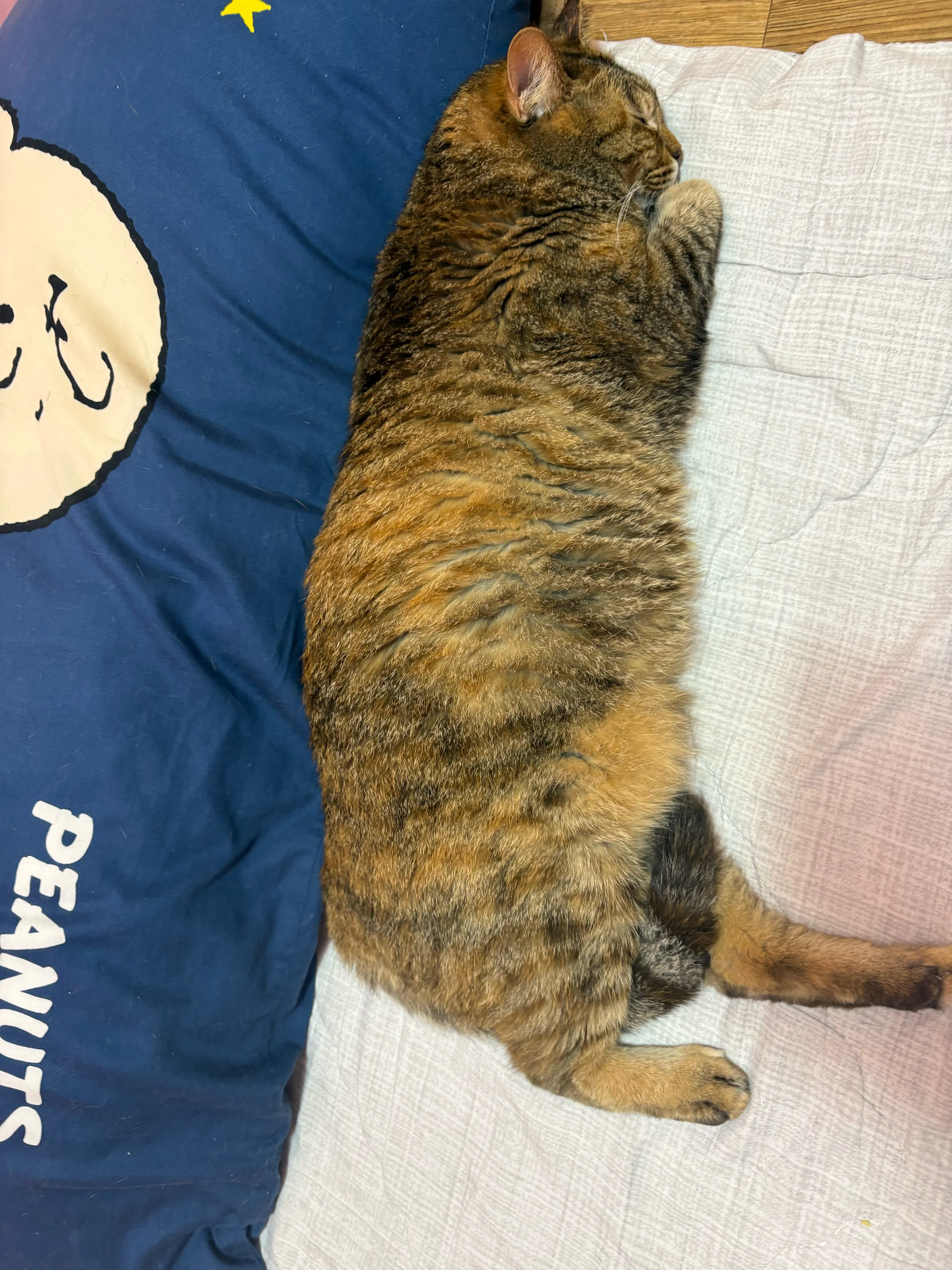 3번째 파일