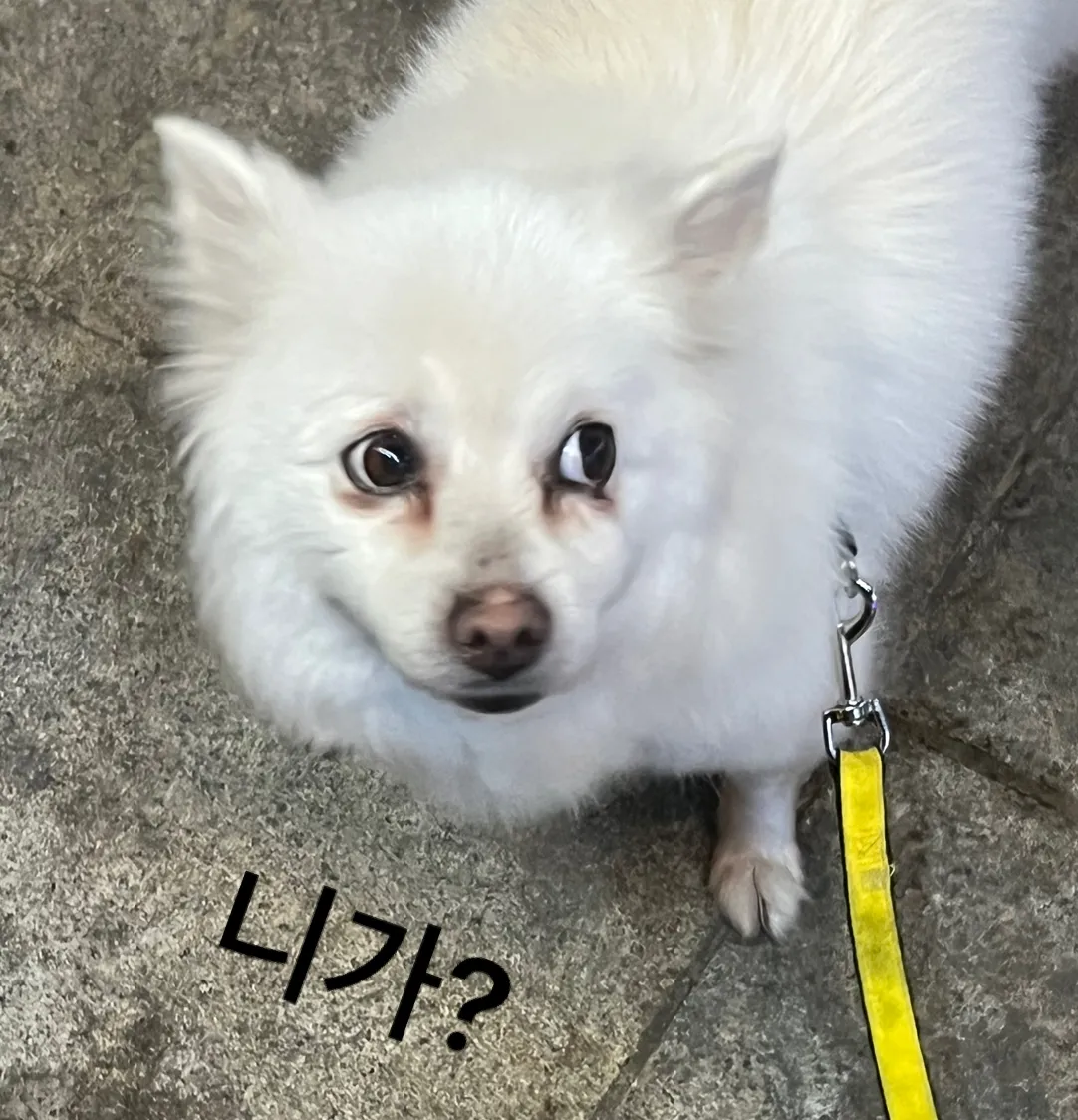 2번째 파일