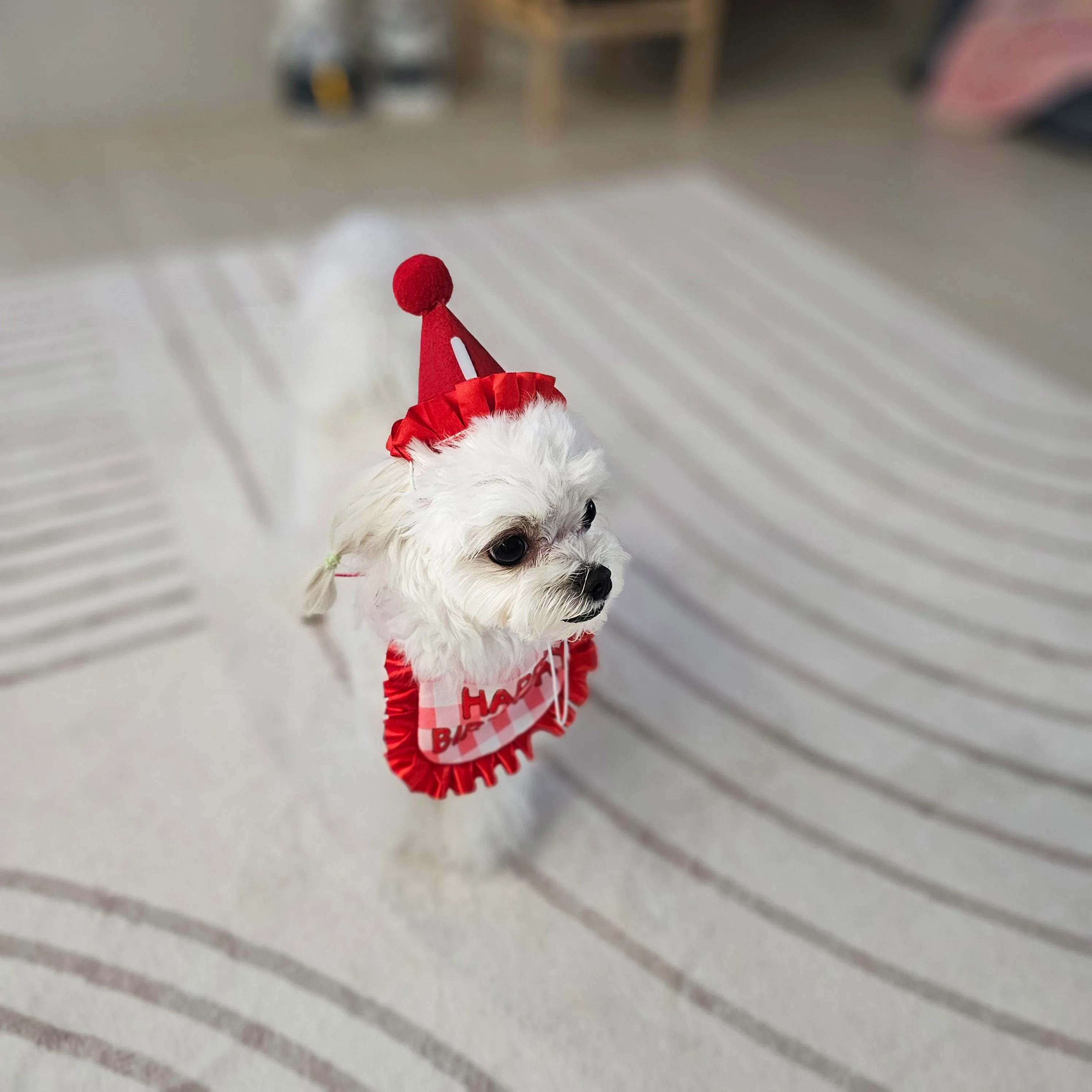 1번째 파일