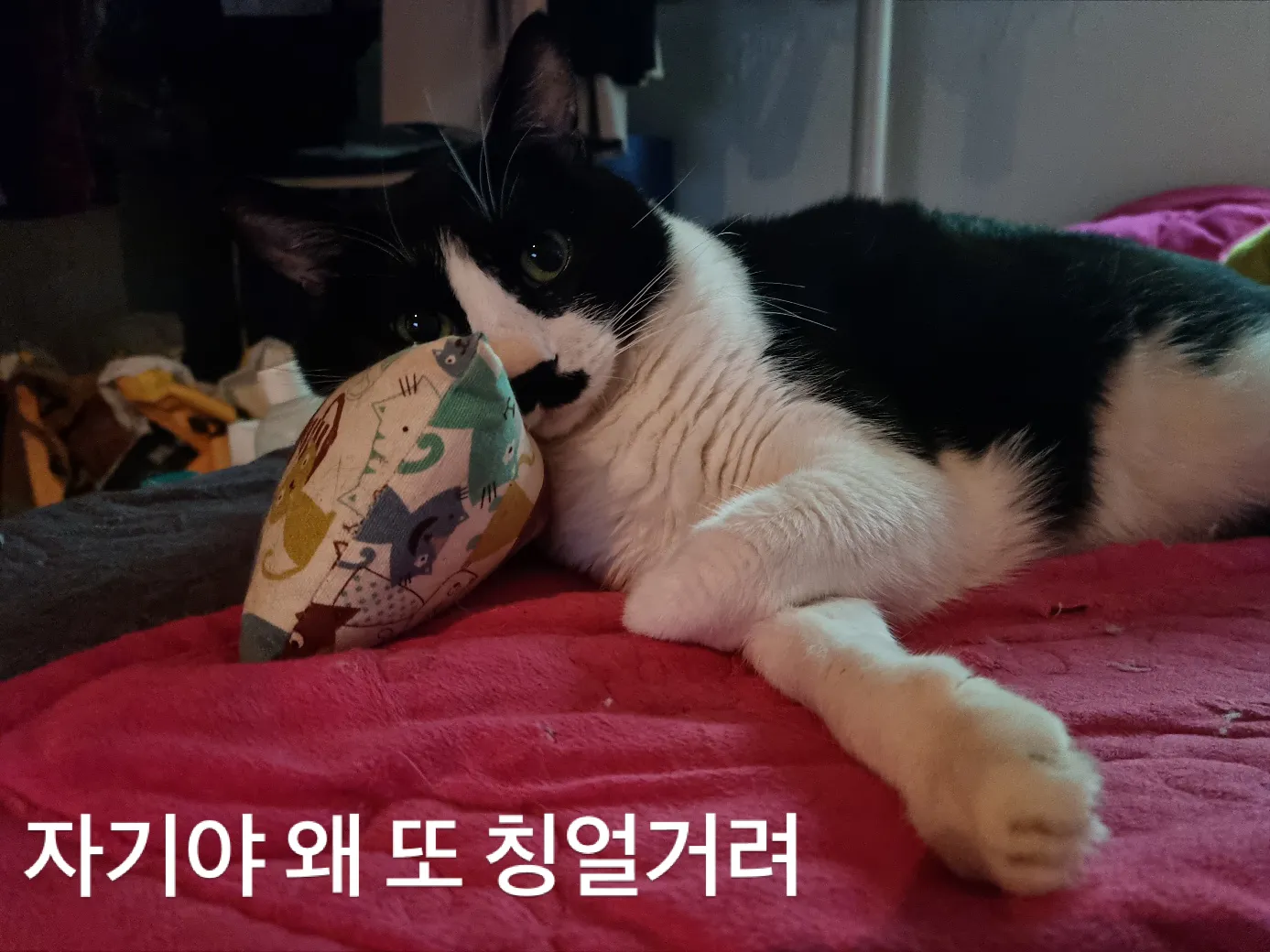 1번째 파일