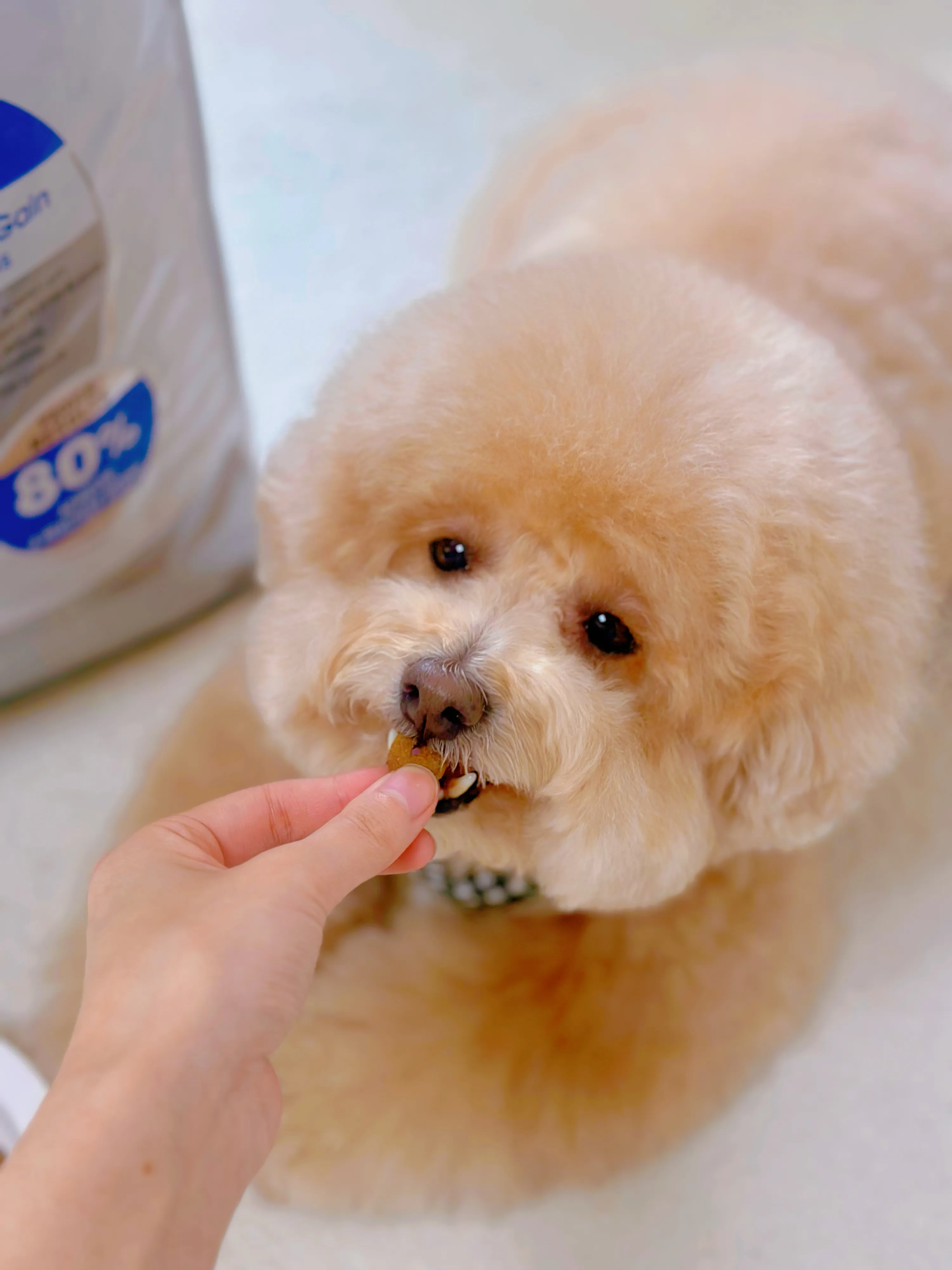 6번째 파일