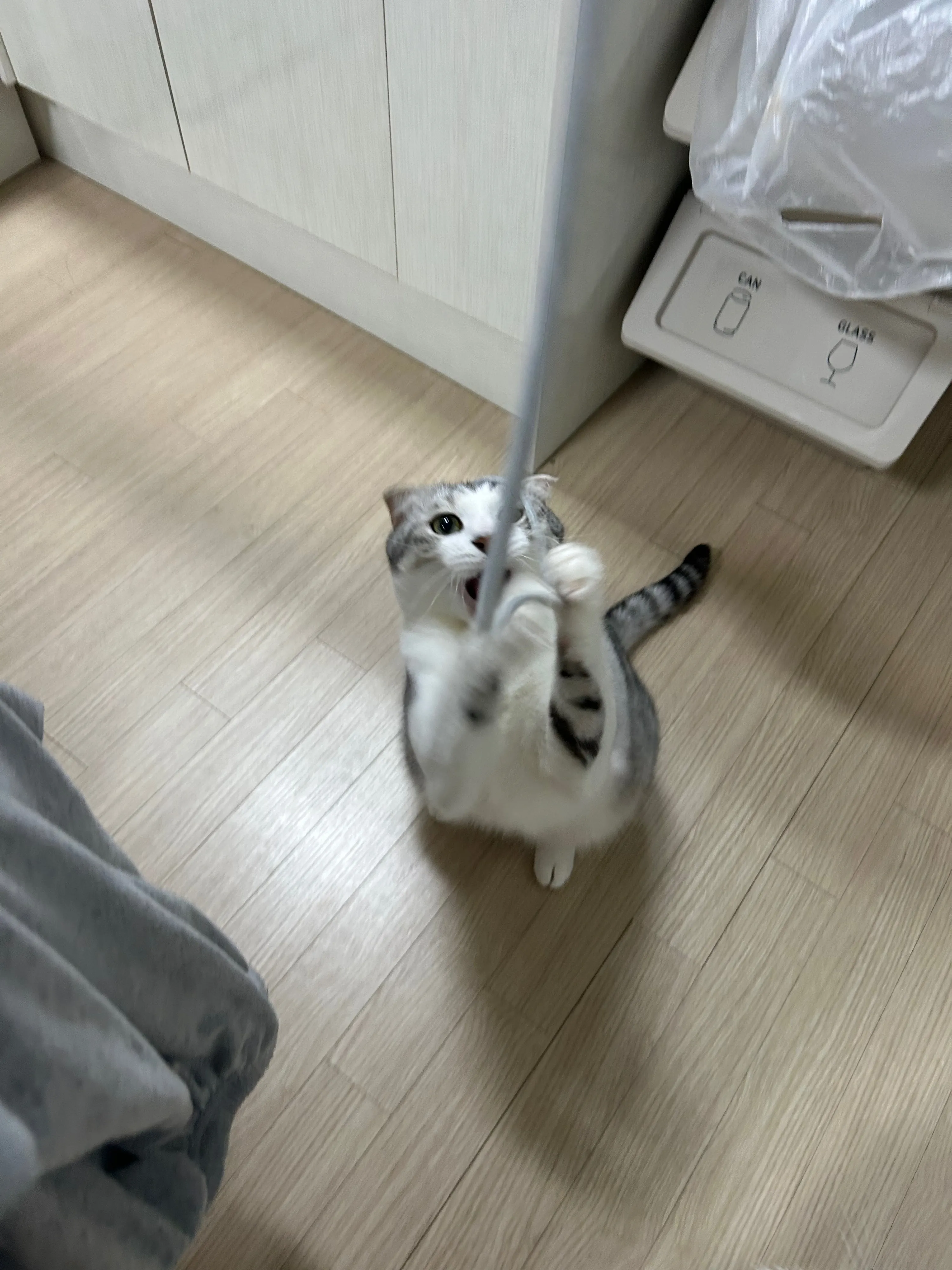 2번째 파일