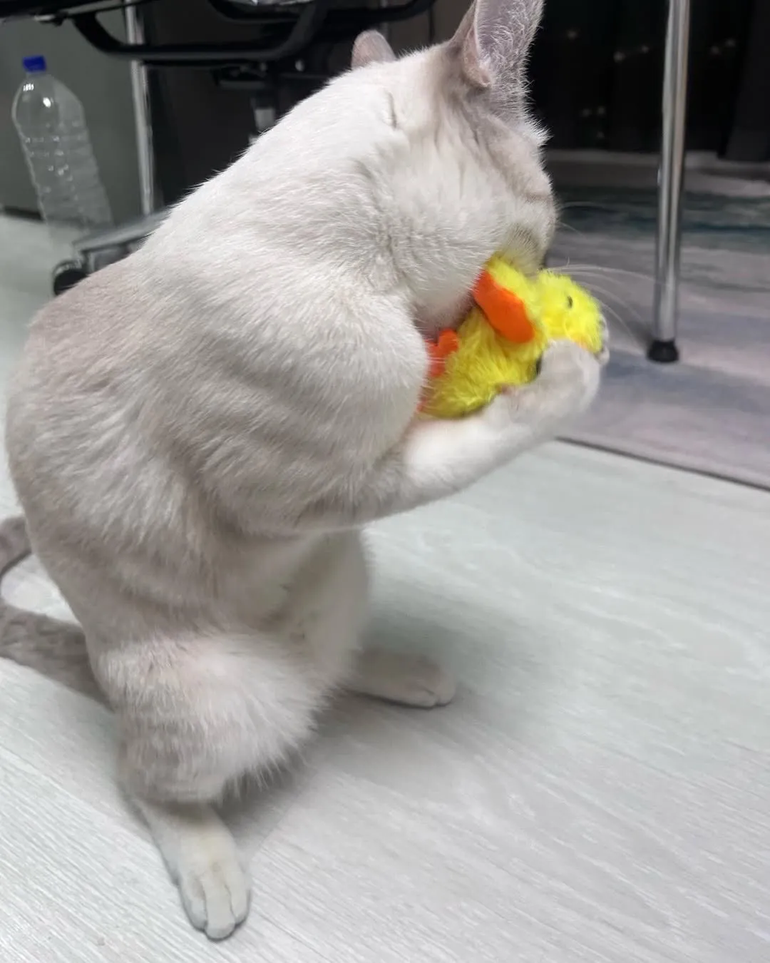 6번째 파일