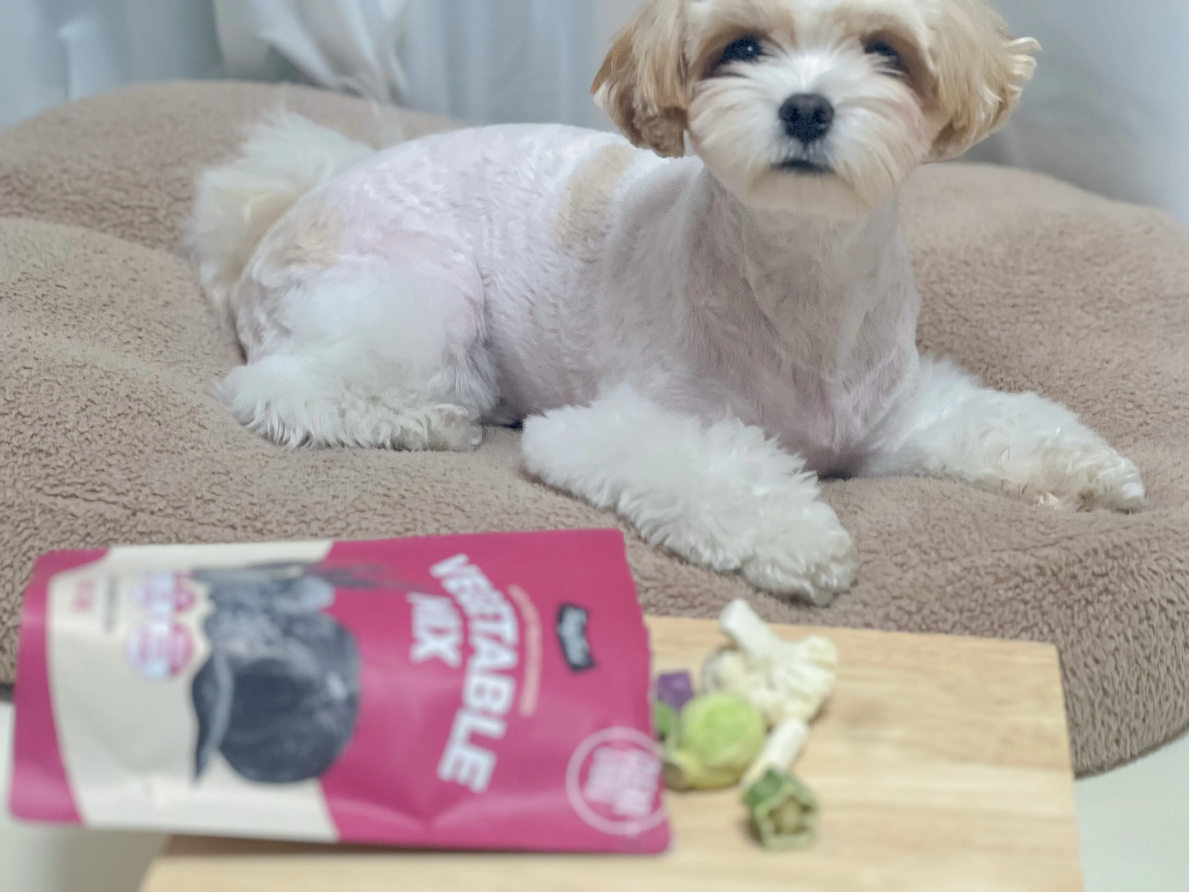 2번째 파일
